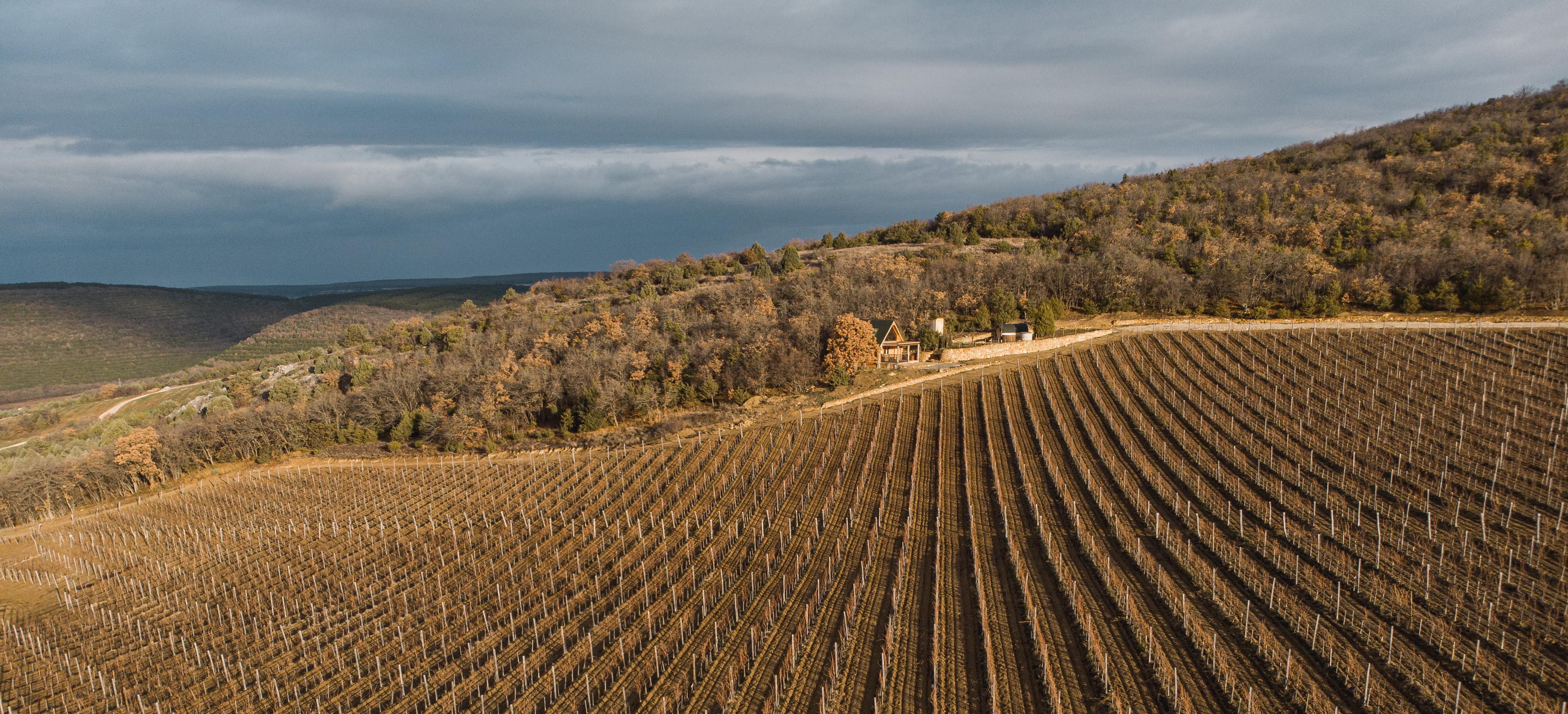 Декоративное изображение