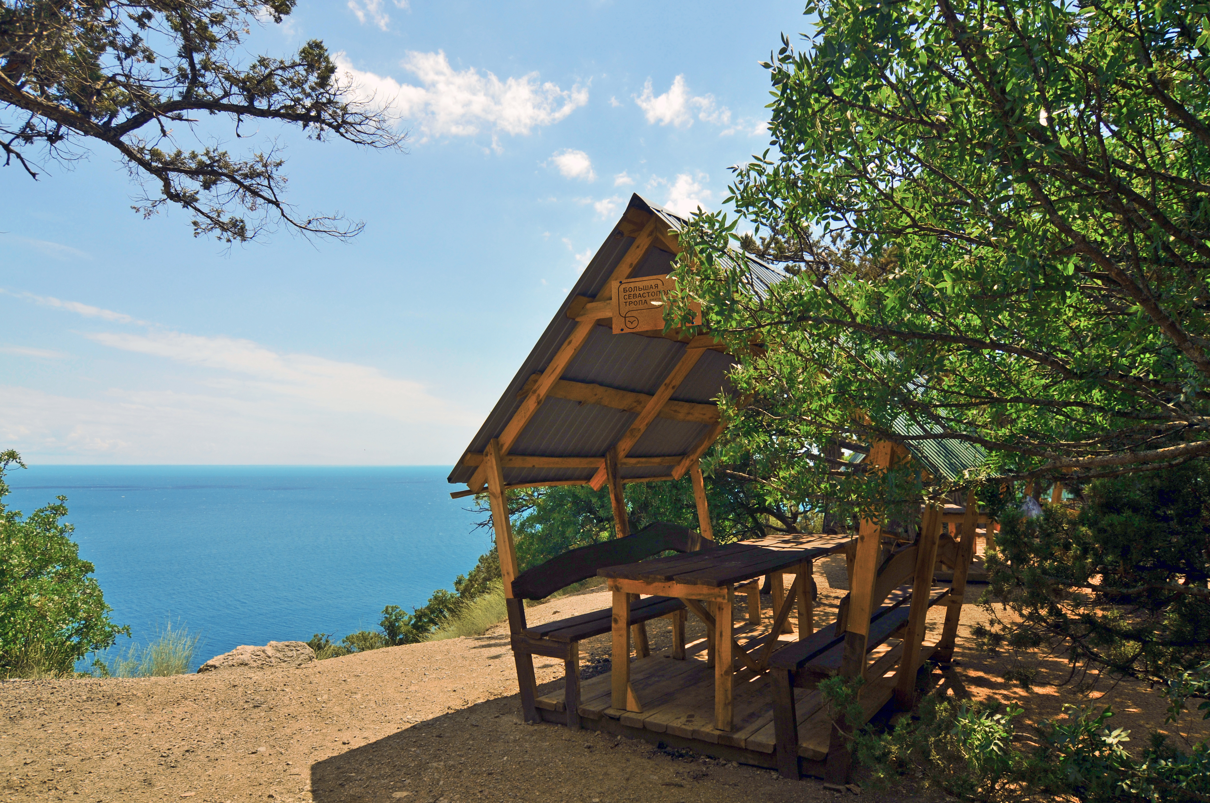 Декоративное изображение