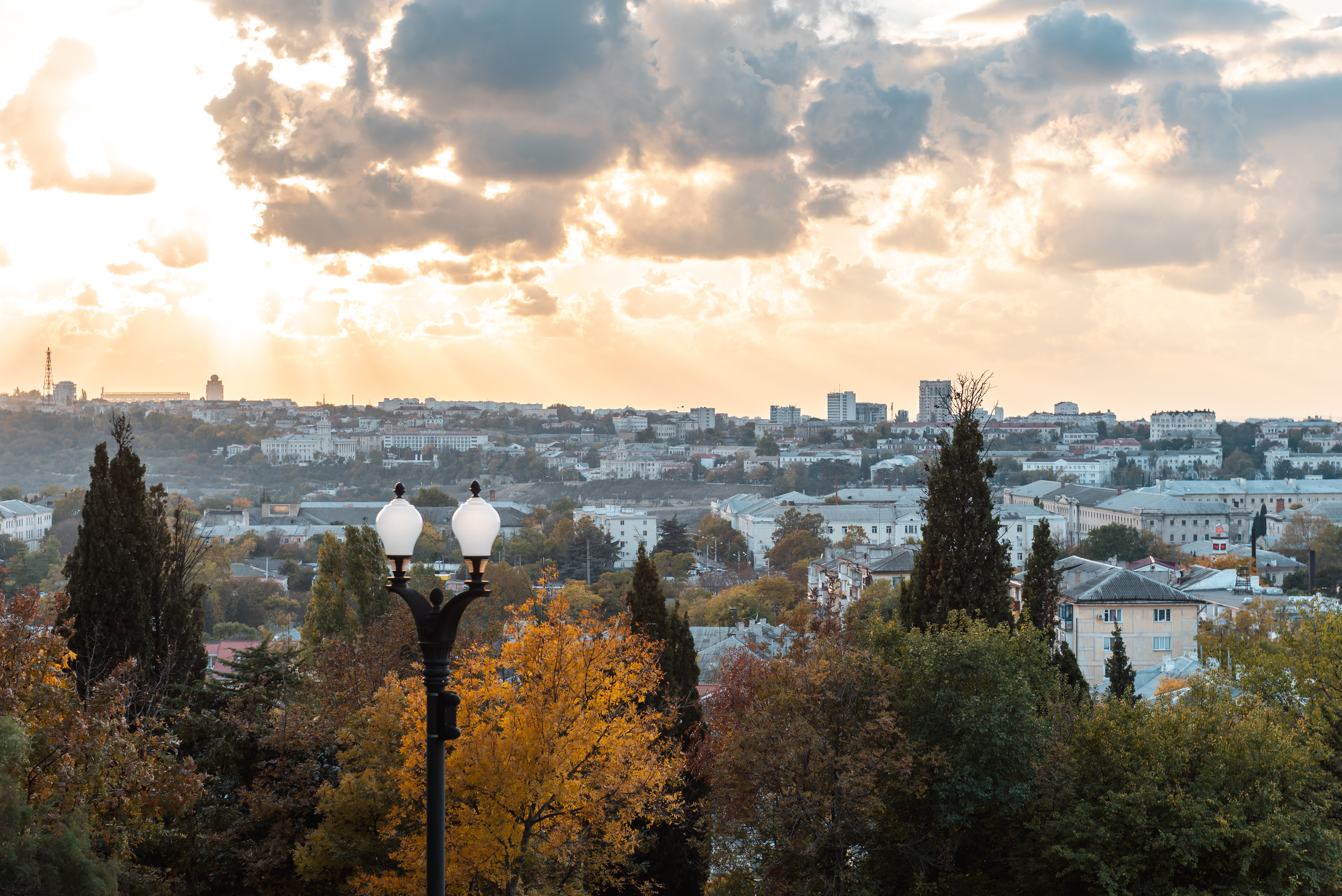 Декоративное изображение