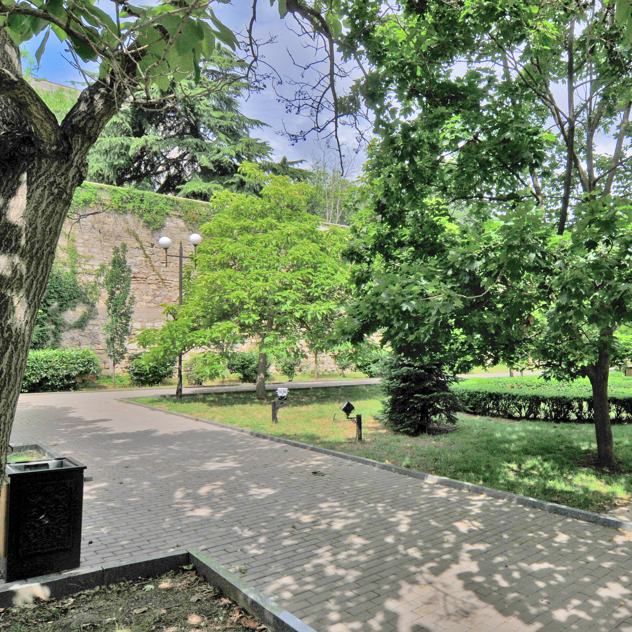 Декоративное изображение