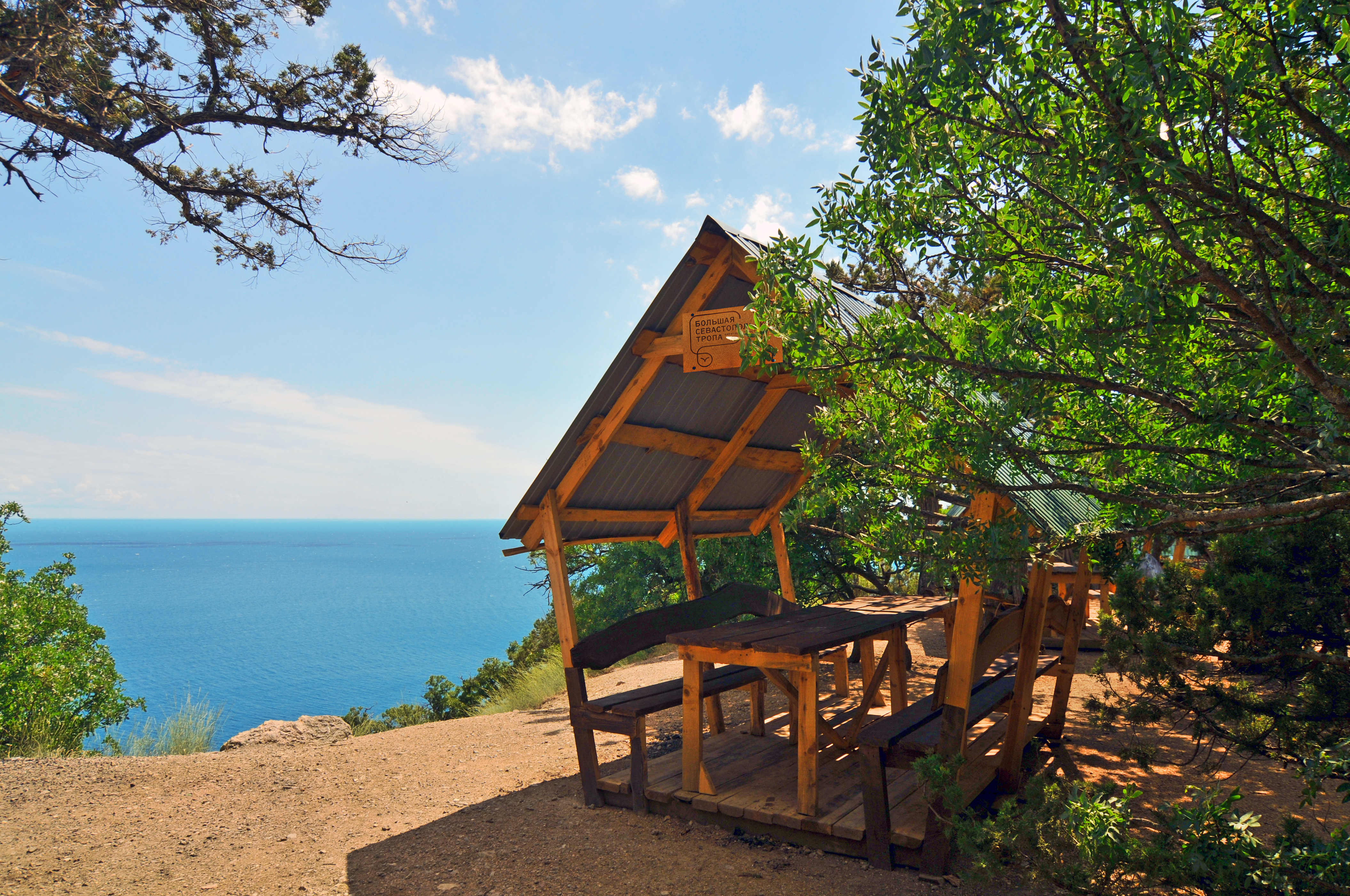 Декоративное изображение