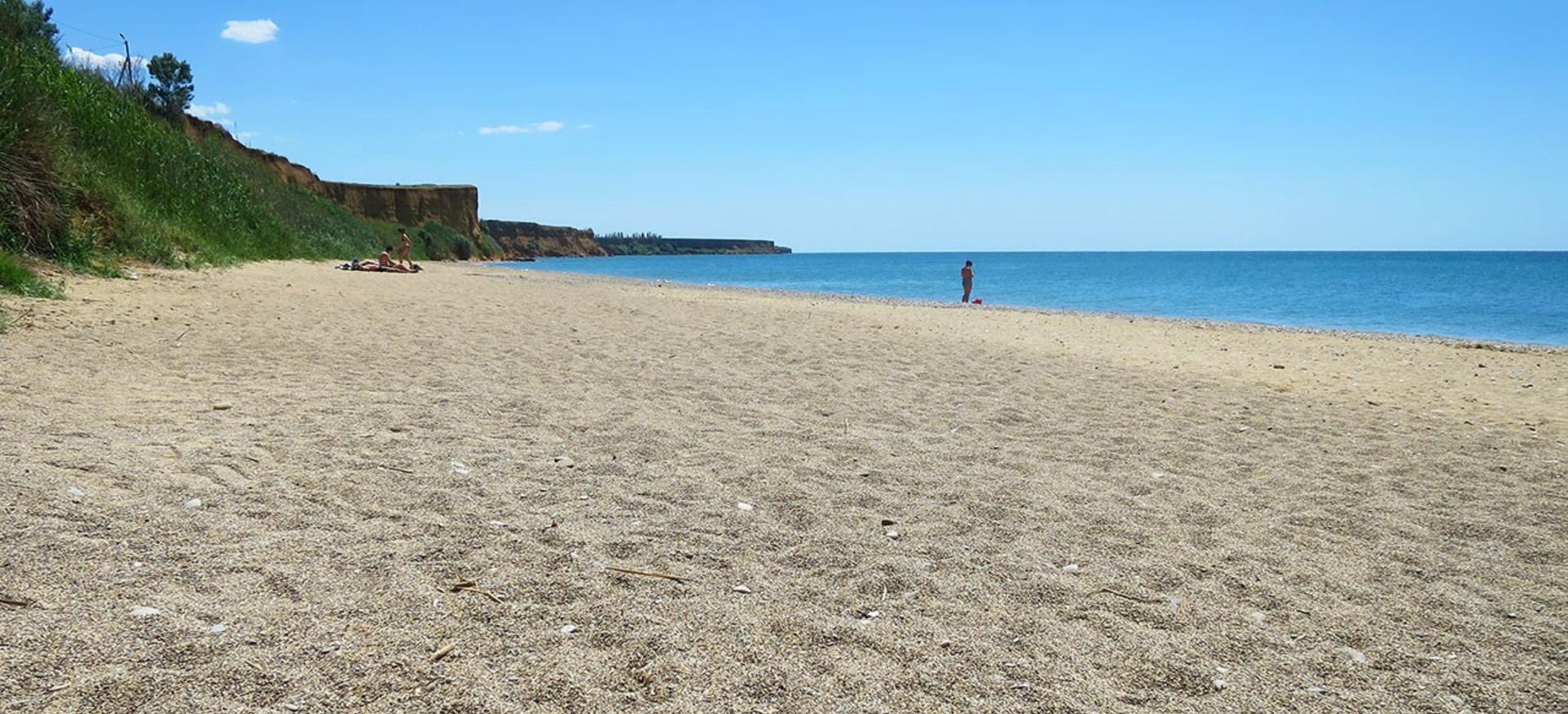 Декоративное изображение