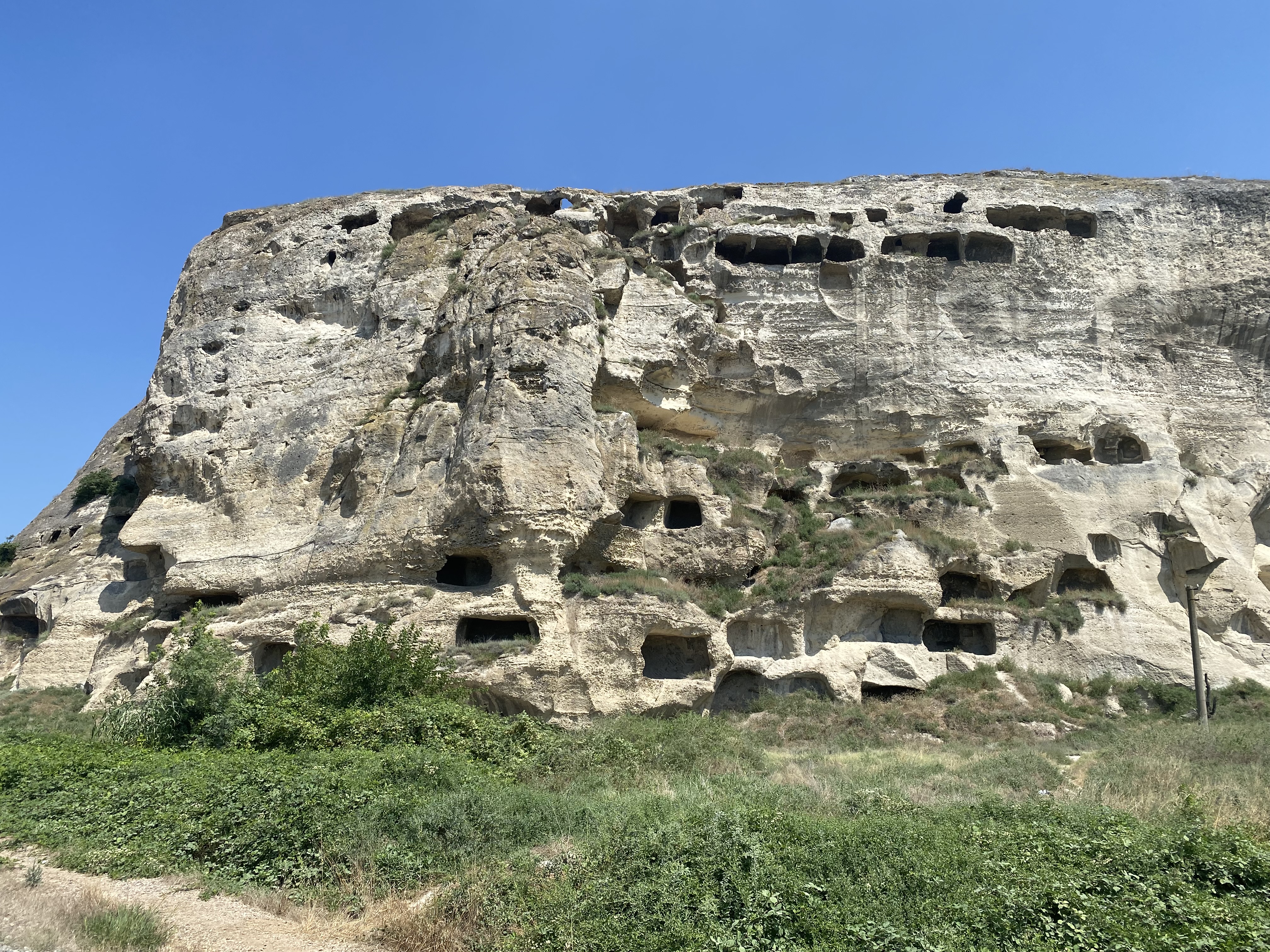 Декоративное изображение