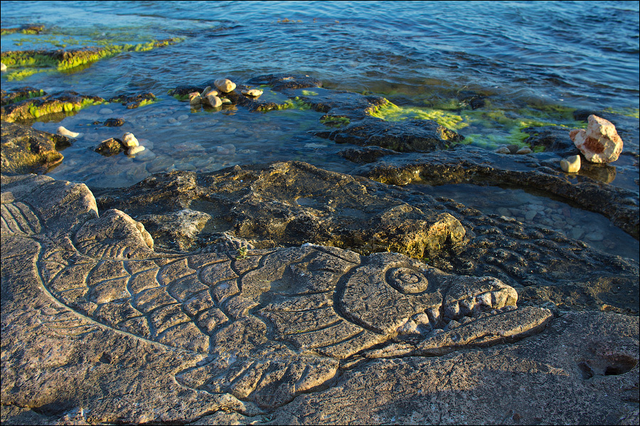 Декоративное изображение