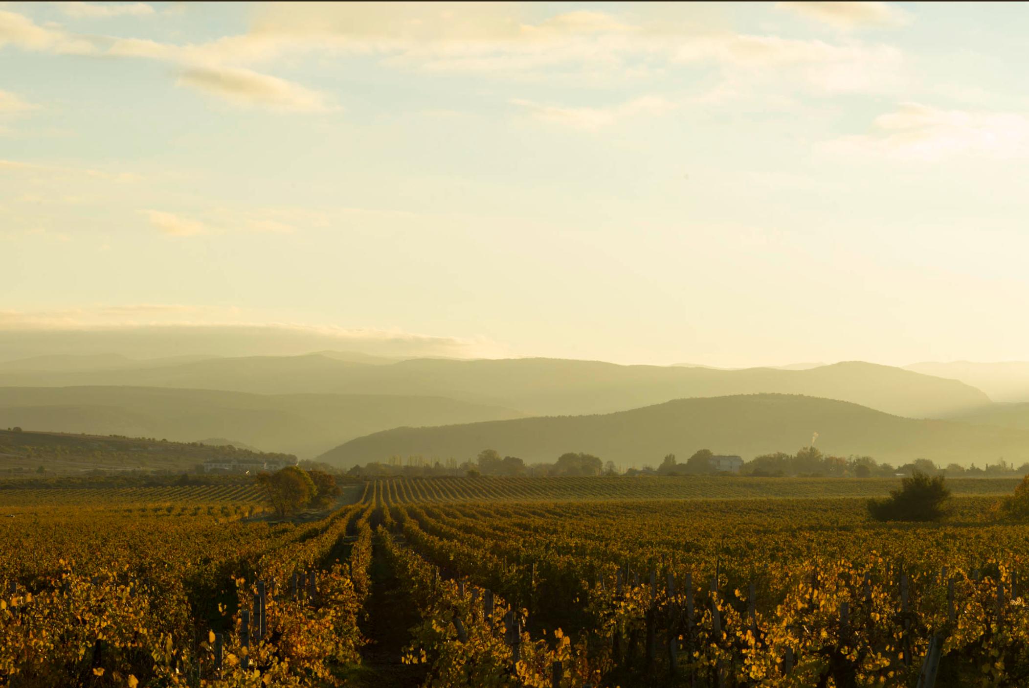 Декоративное изображение