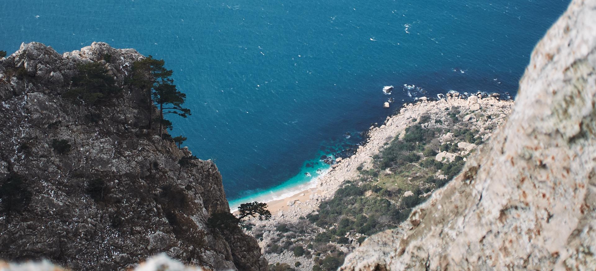 Декоративное изображение