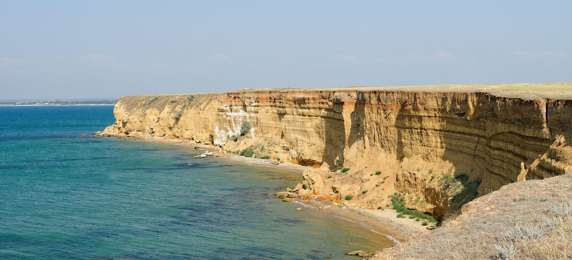 Декоративное изображение