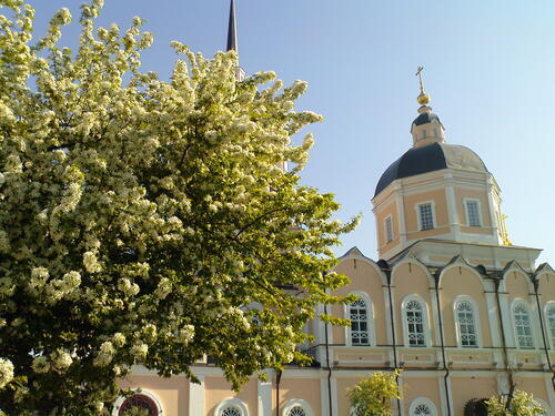 Декоративное изображение