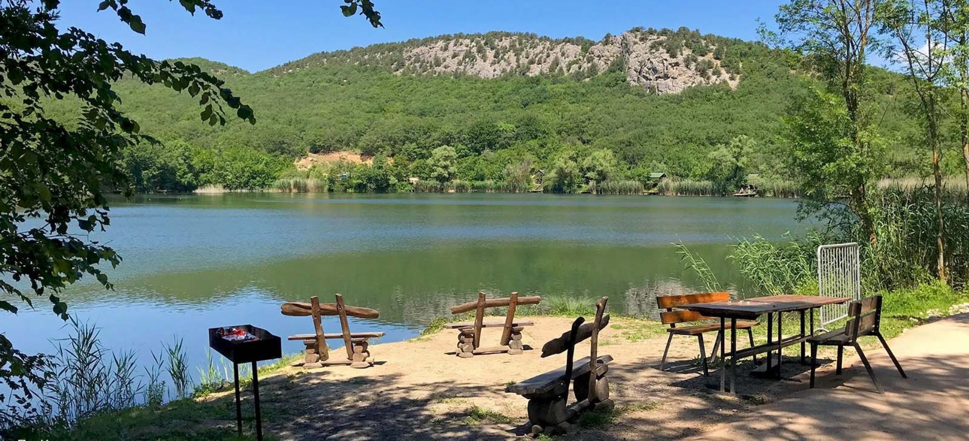 Декоративное изображение