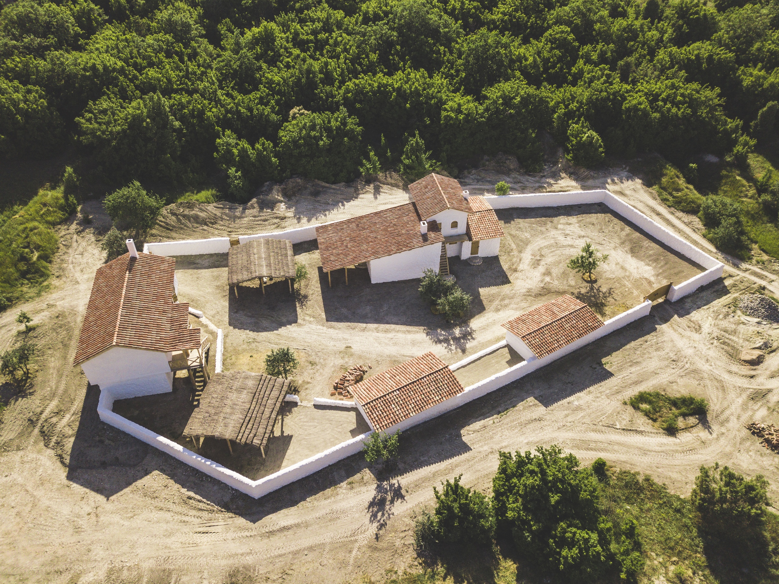 Декоративное изображение