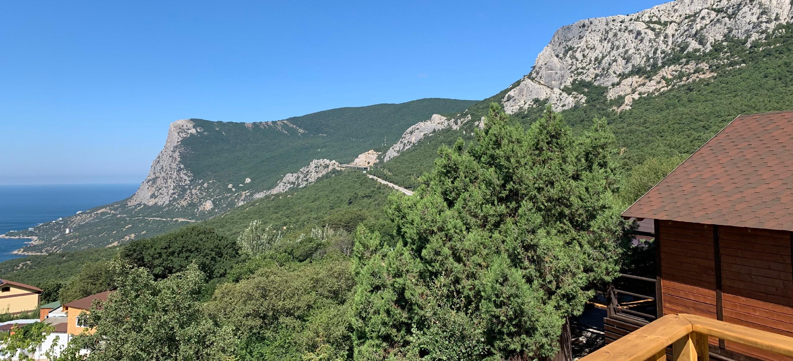 Декоративное изображение