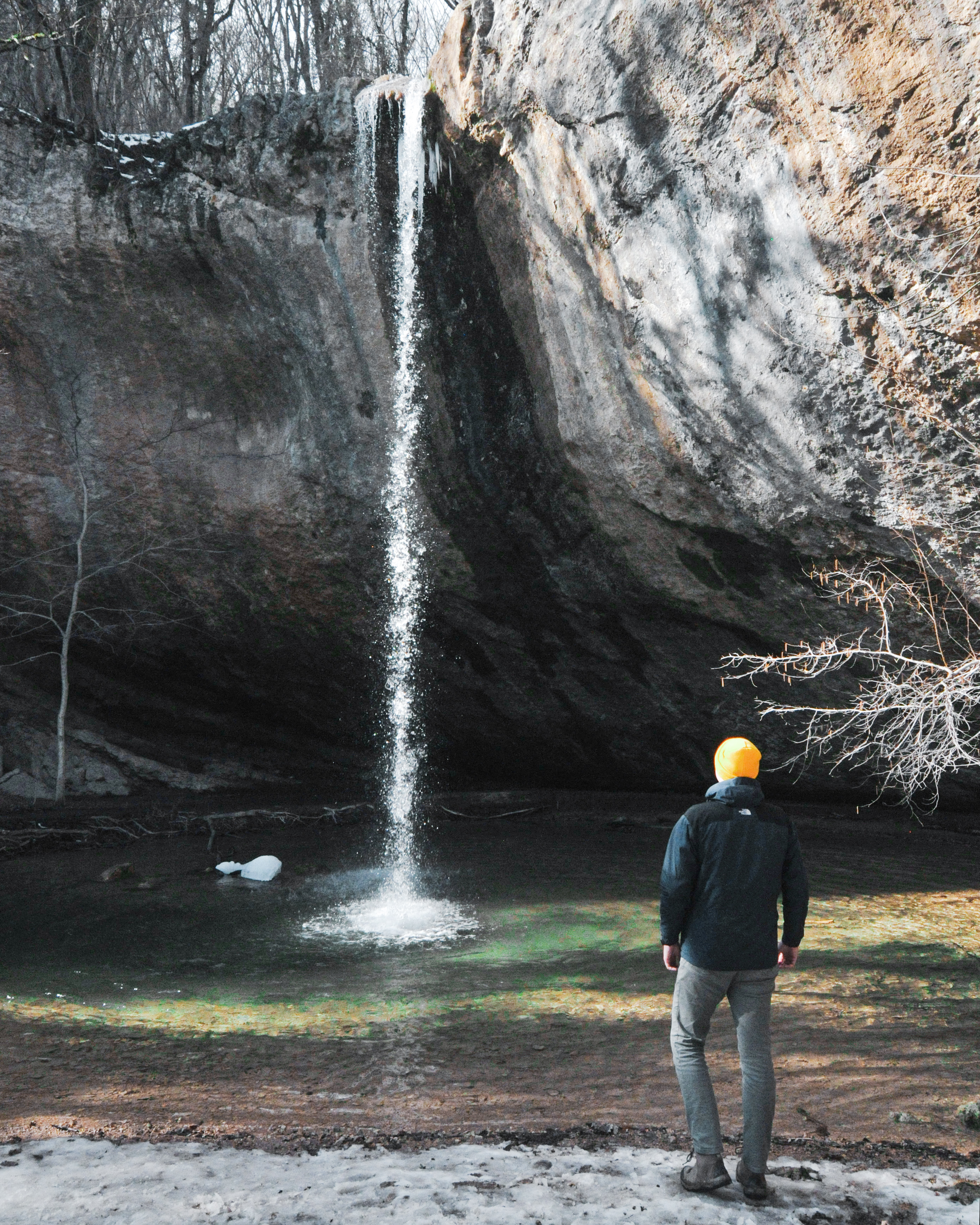 Декоративное изображение
