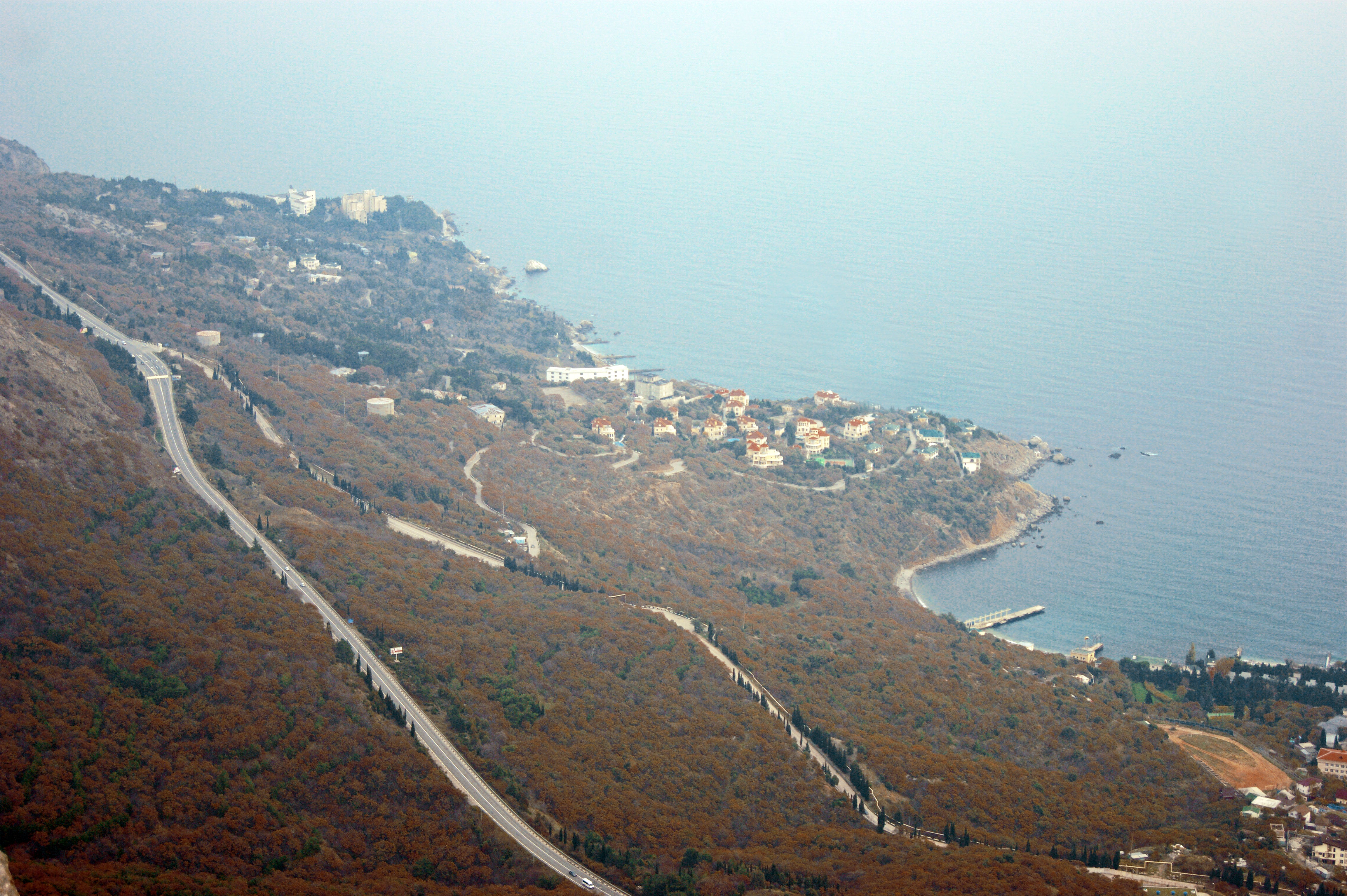 Декоративное изображение