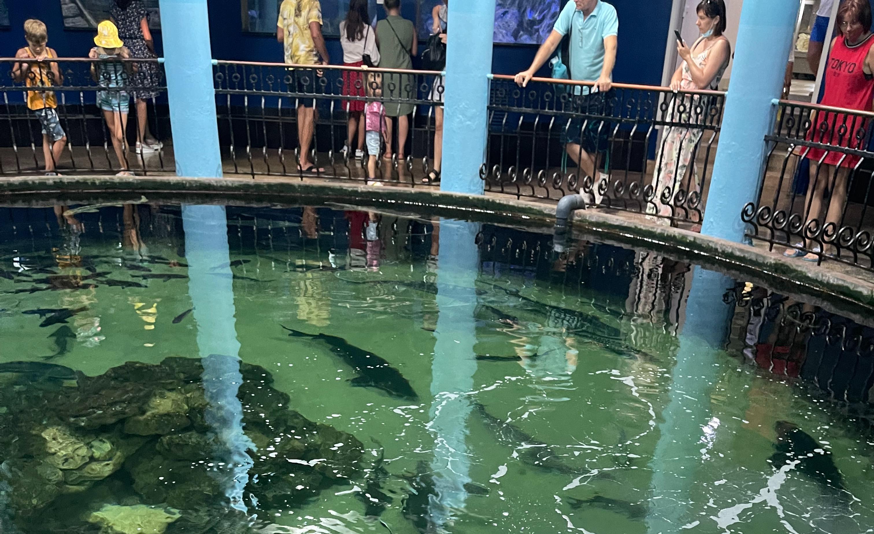 Декоративное изображение