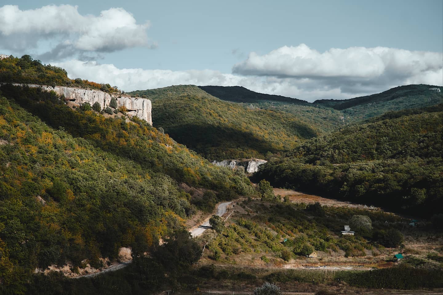 Декоративное изображение