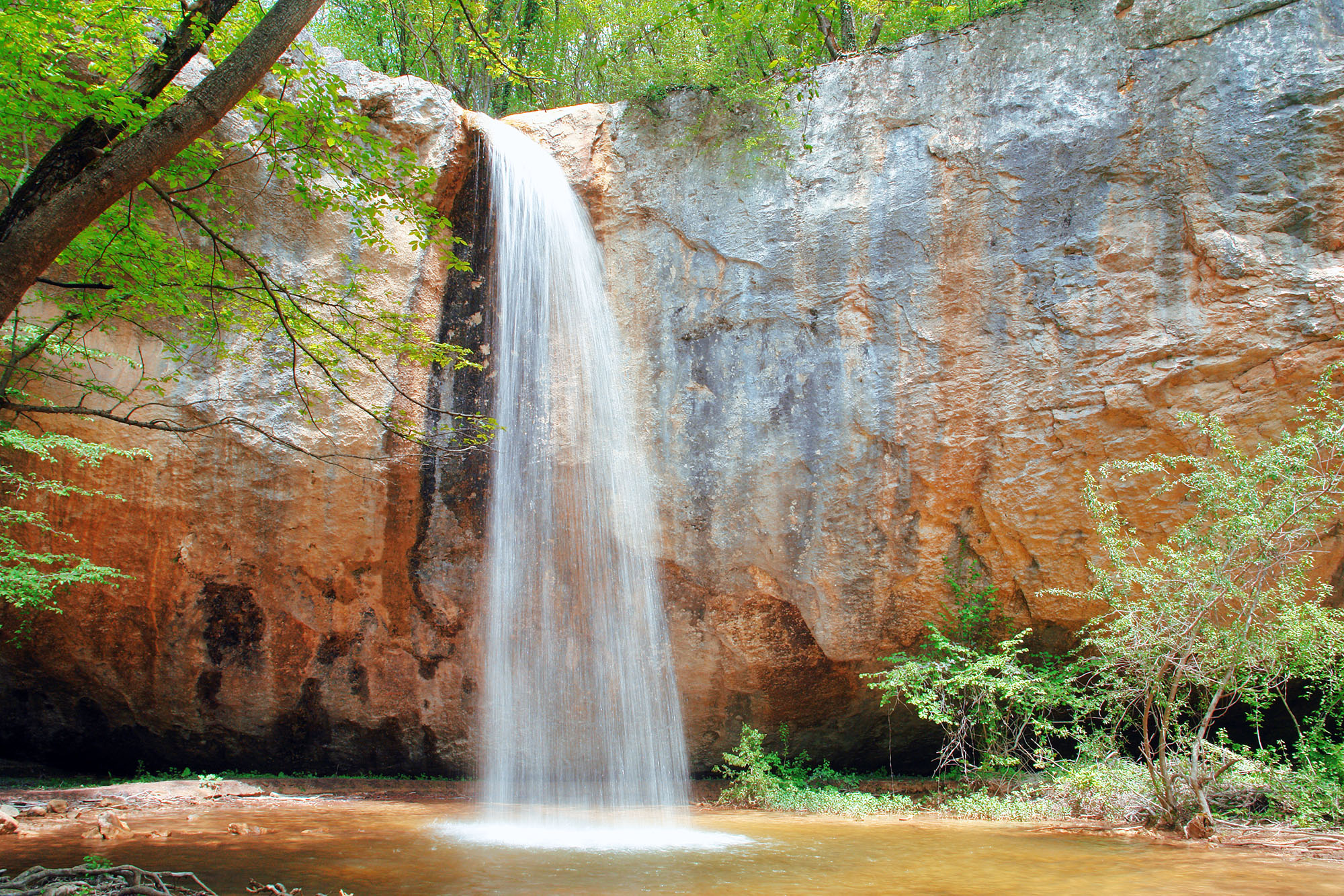 Декоративное изображение