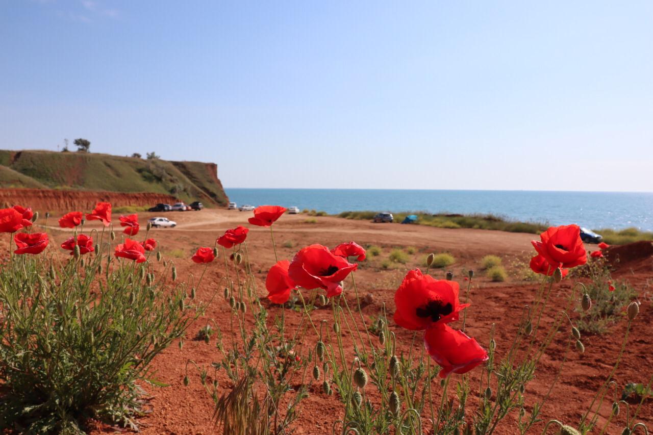 Декоративное изображение