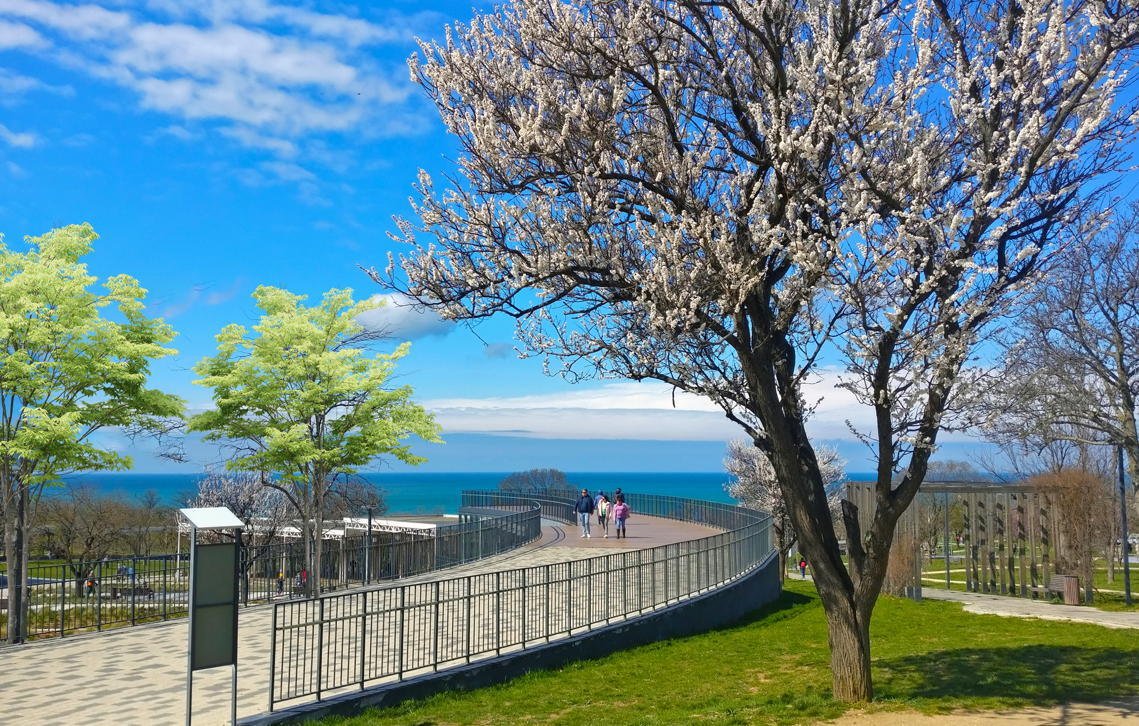 Декоративное изображение