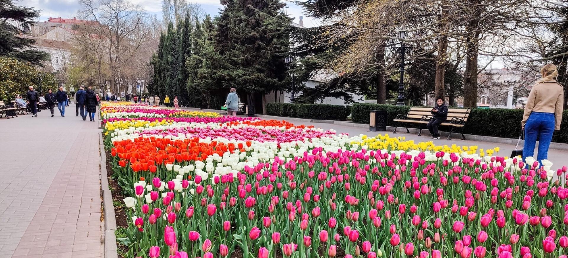 Декоративное изображение