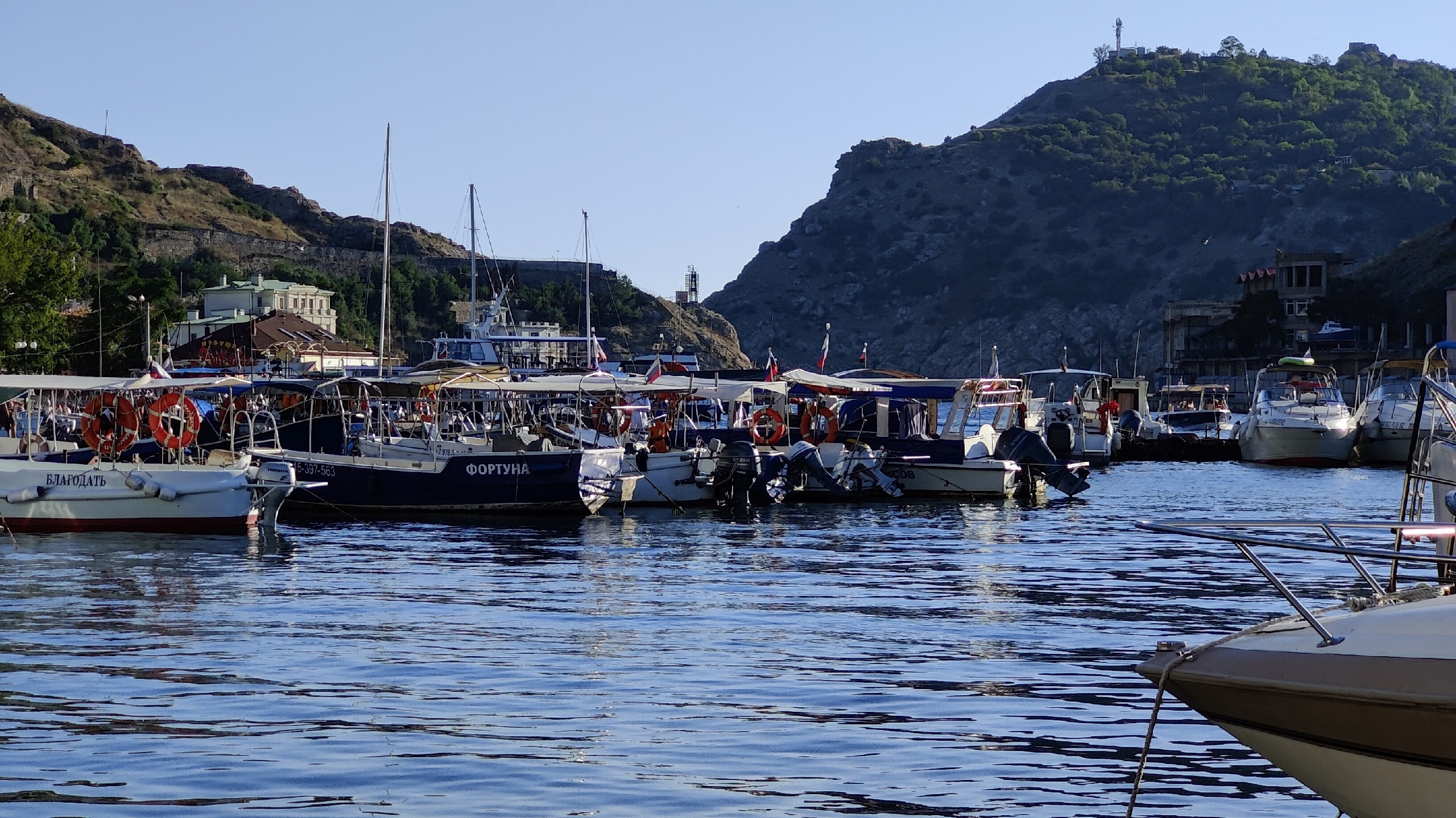 Декоративное изображение