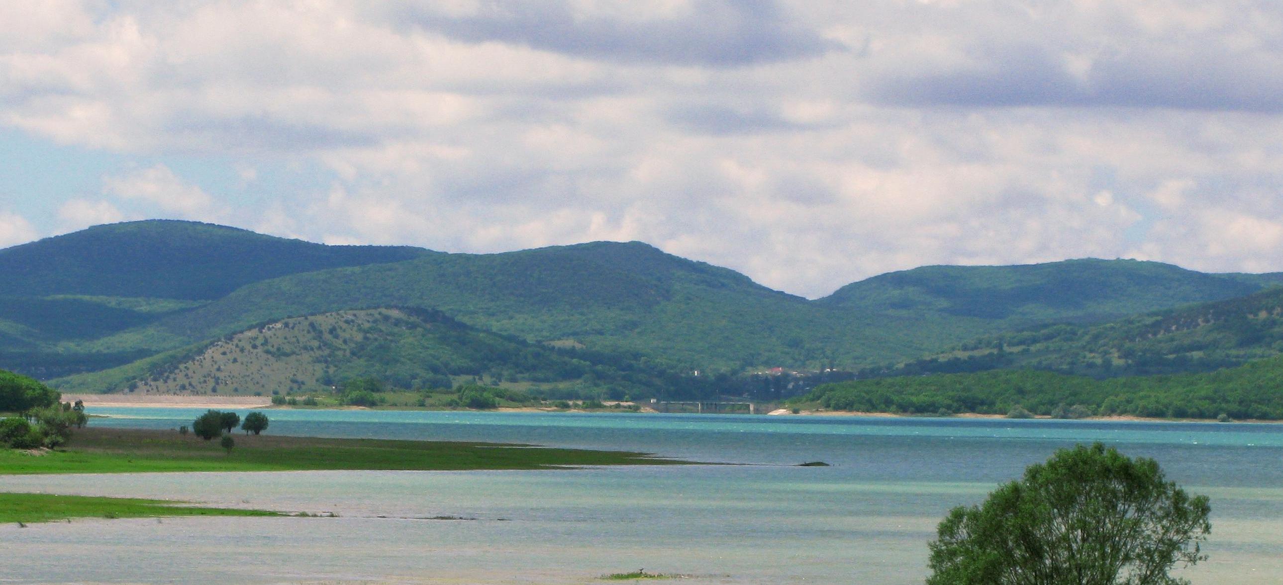 Декоративное изображение