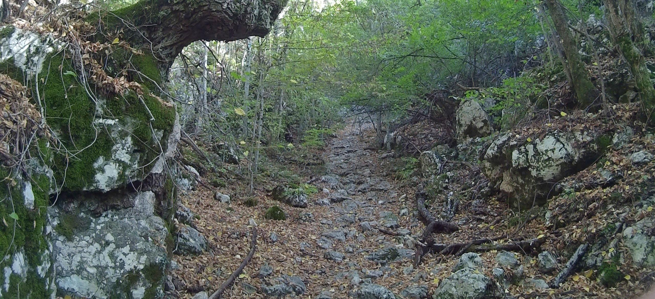 Декоративное изображение