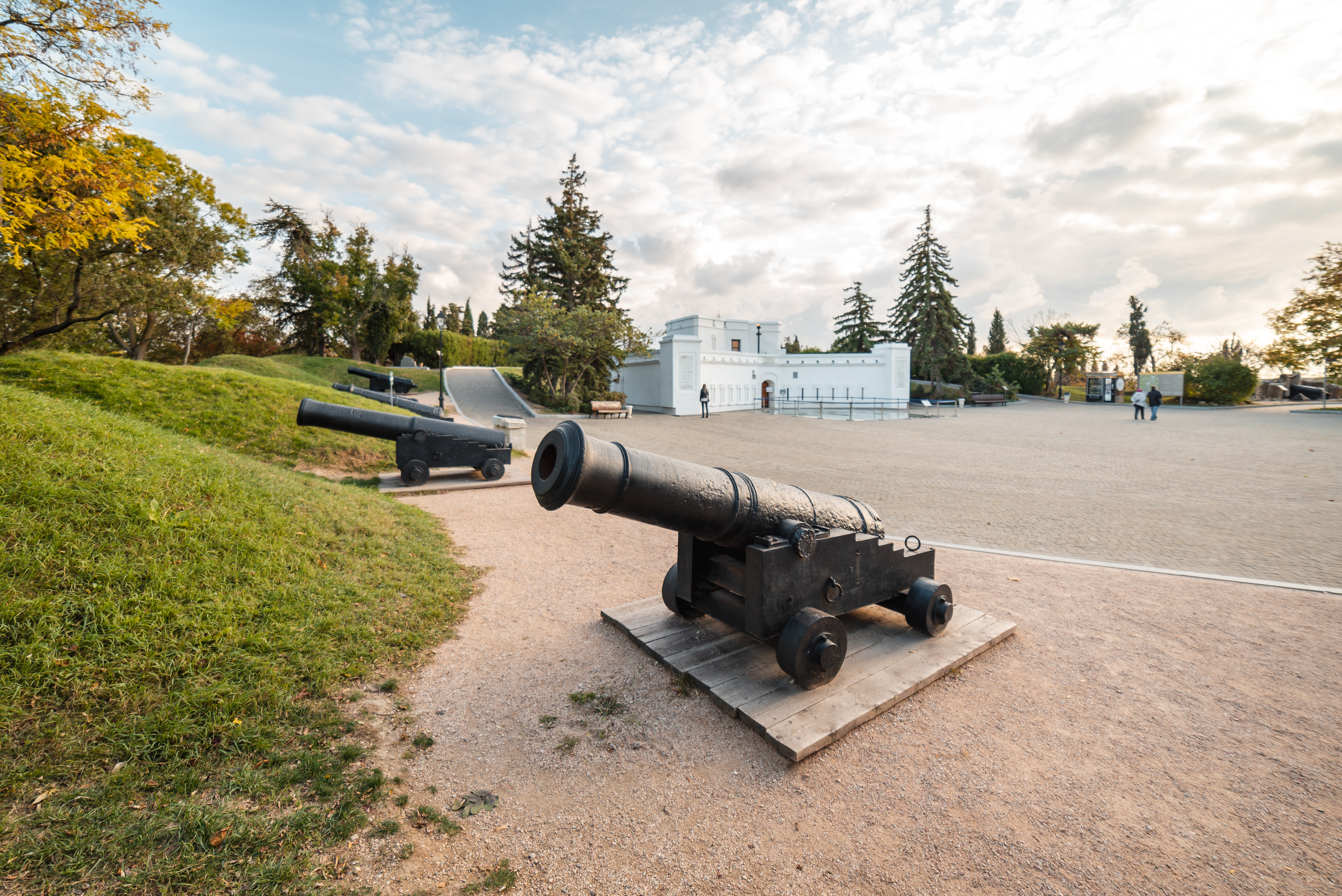 Декоративное изображение