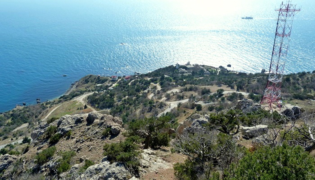 Декоративное изображение