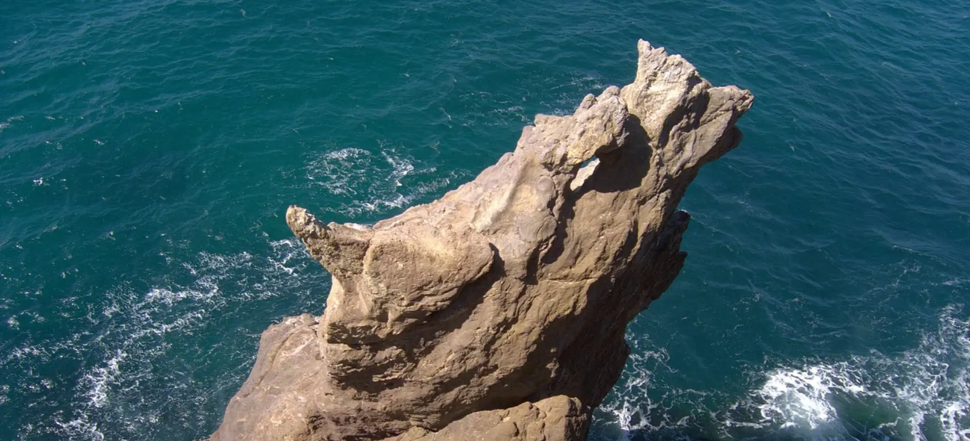 Декоративное изображение