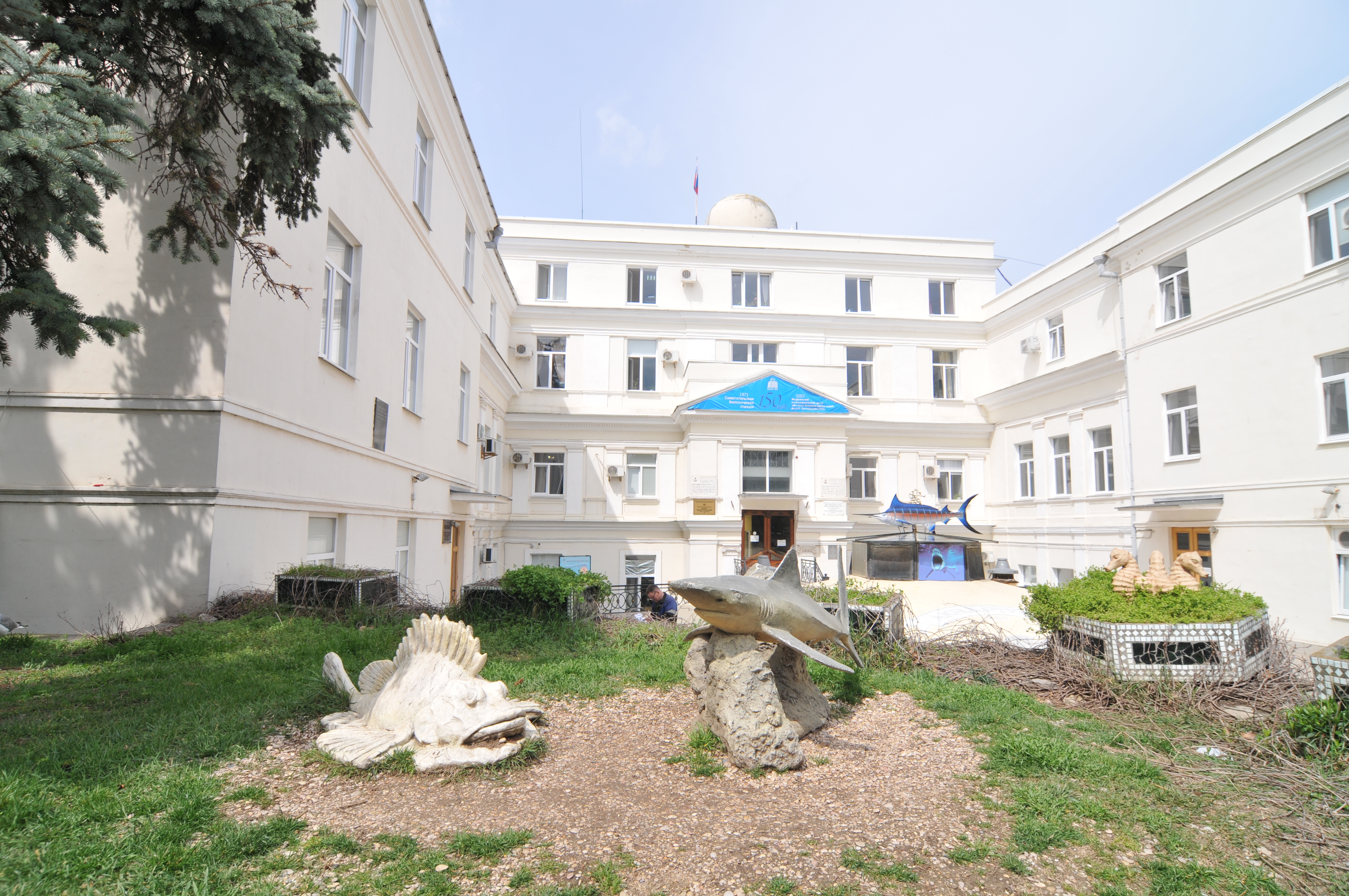 Декоративное изображение