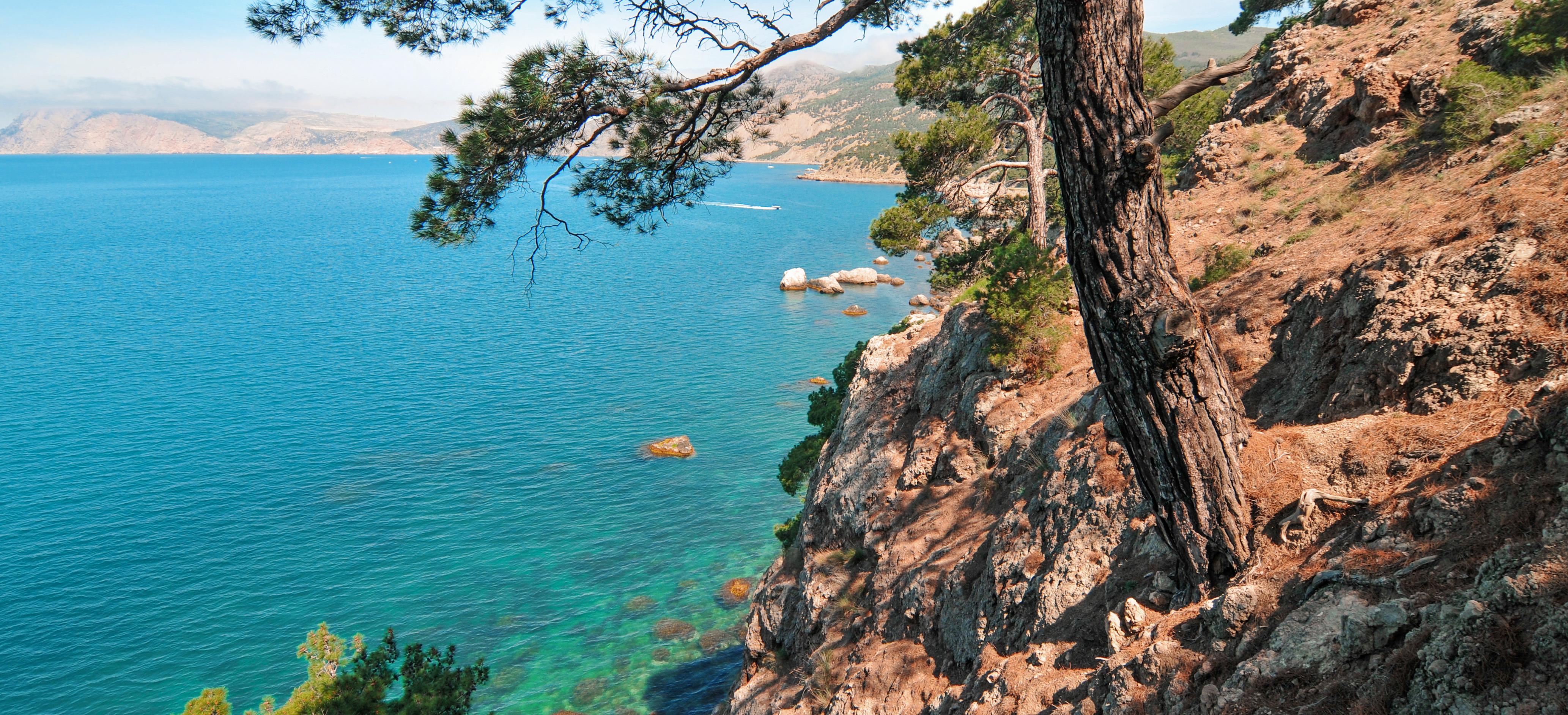 Декоративное изображение