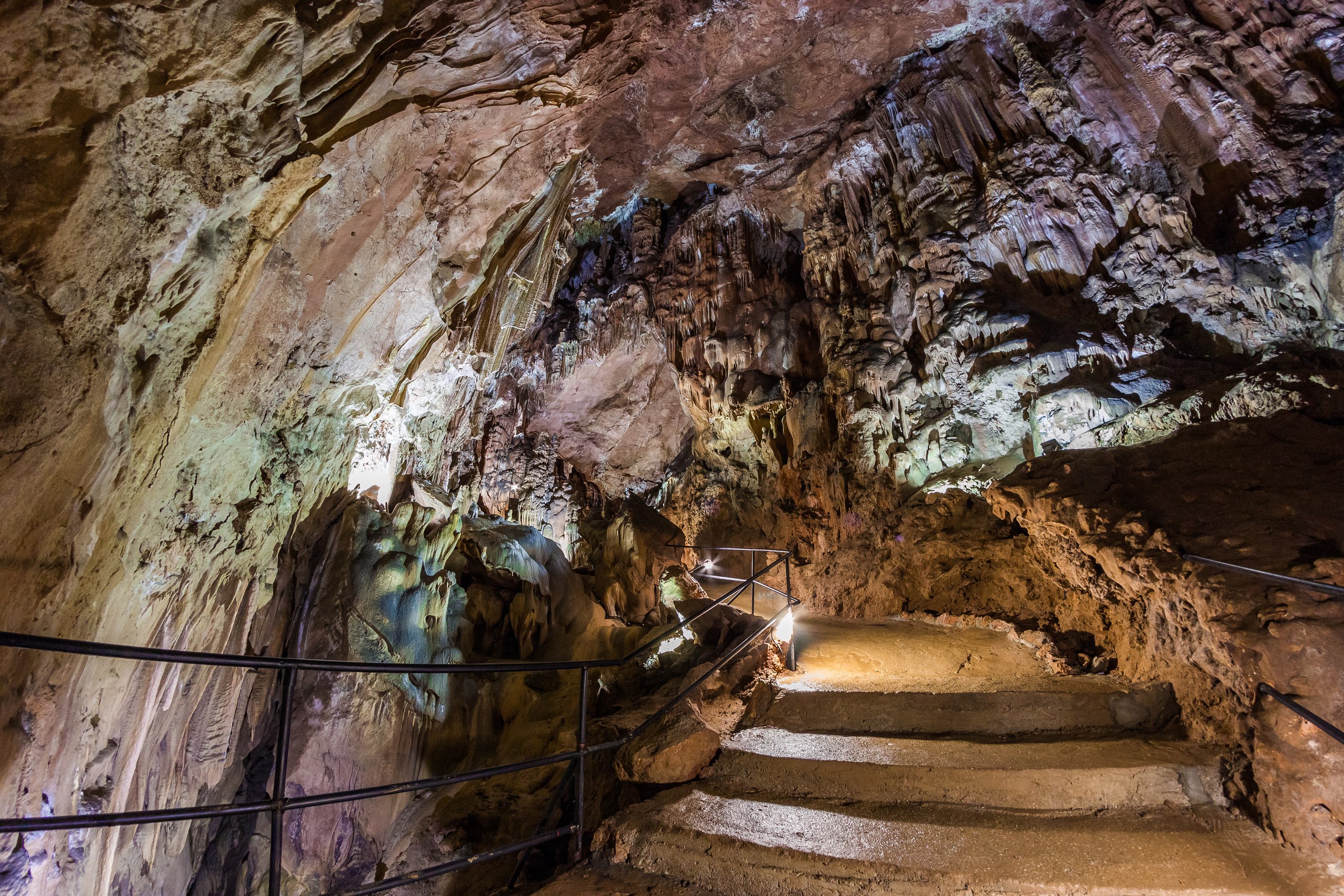 Декоративное изображение