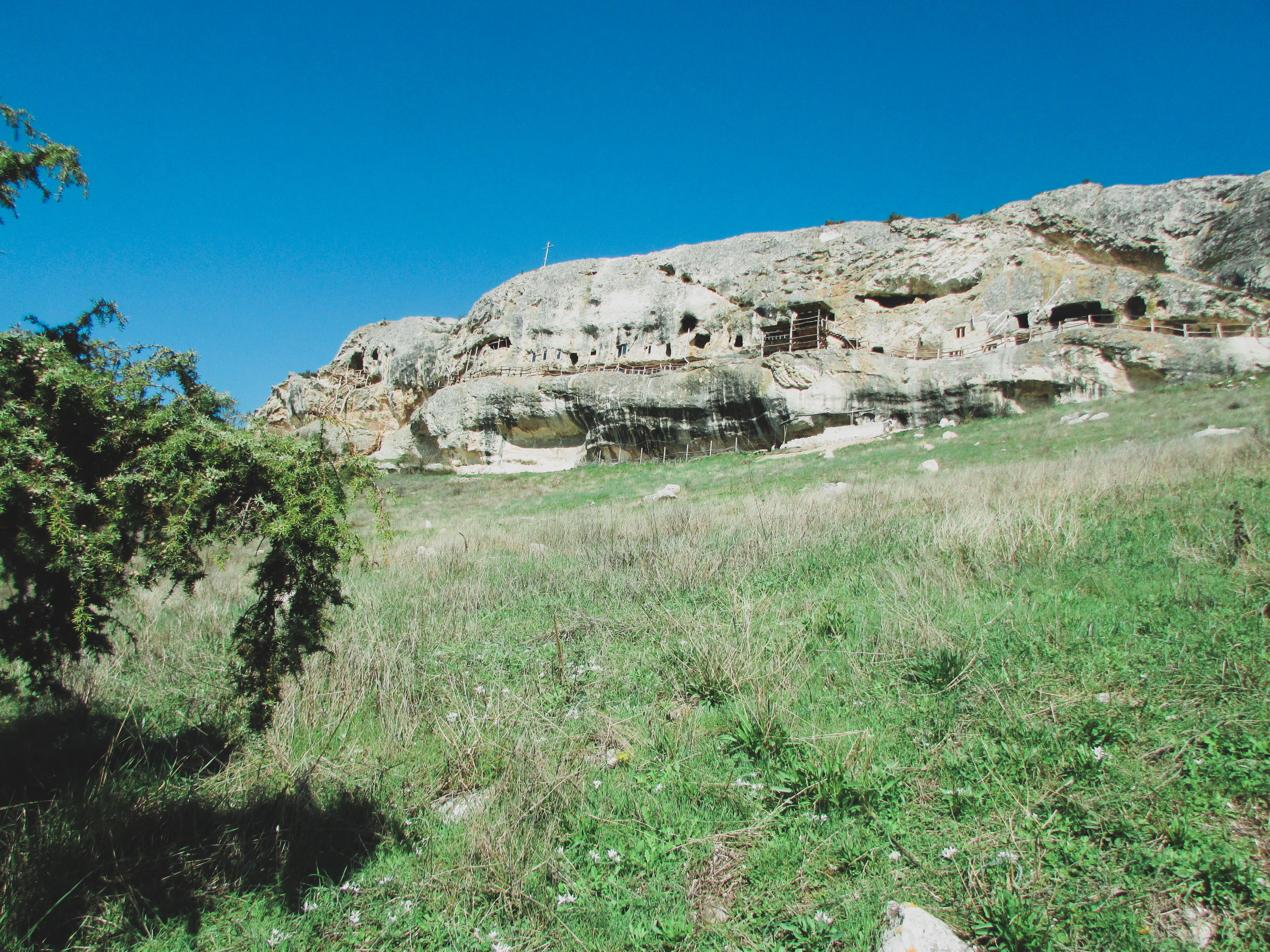 Декоративное изображение