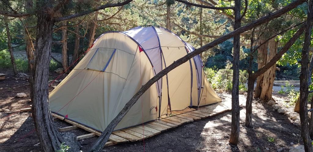 Декоративное изображение