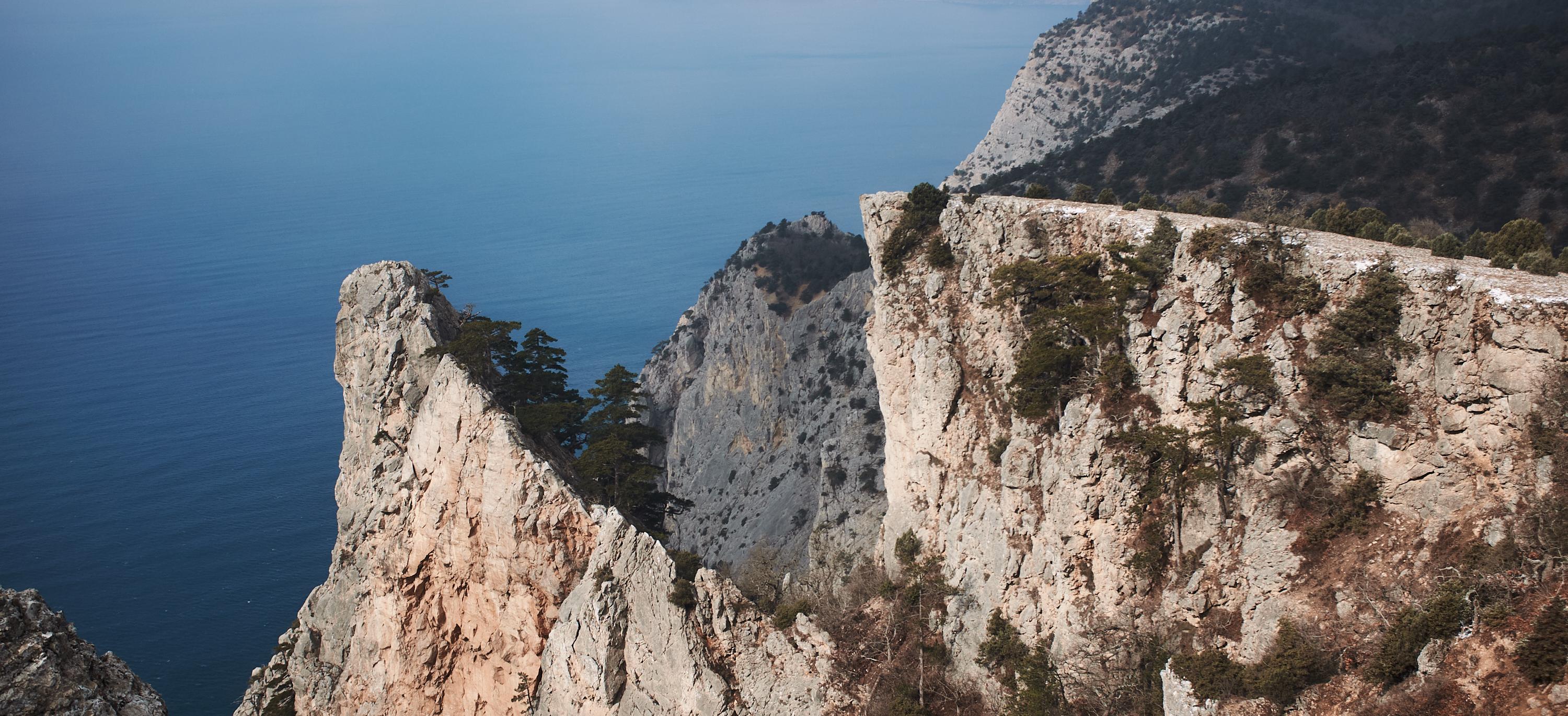 Декоративное изображение