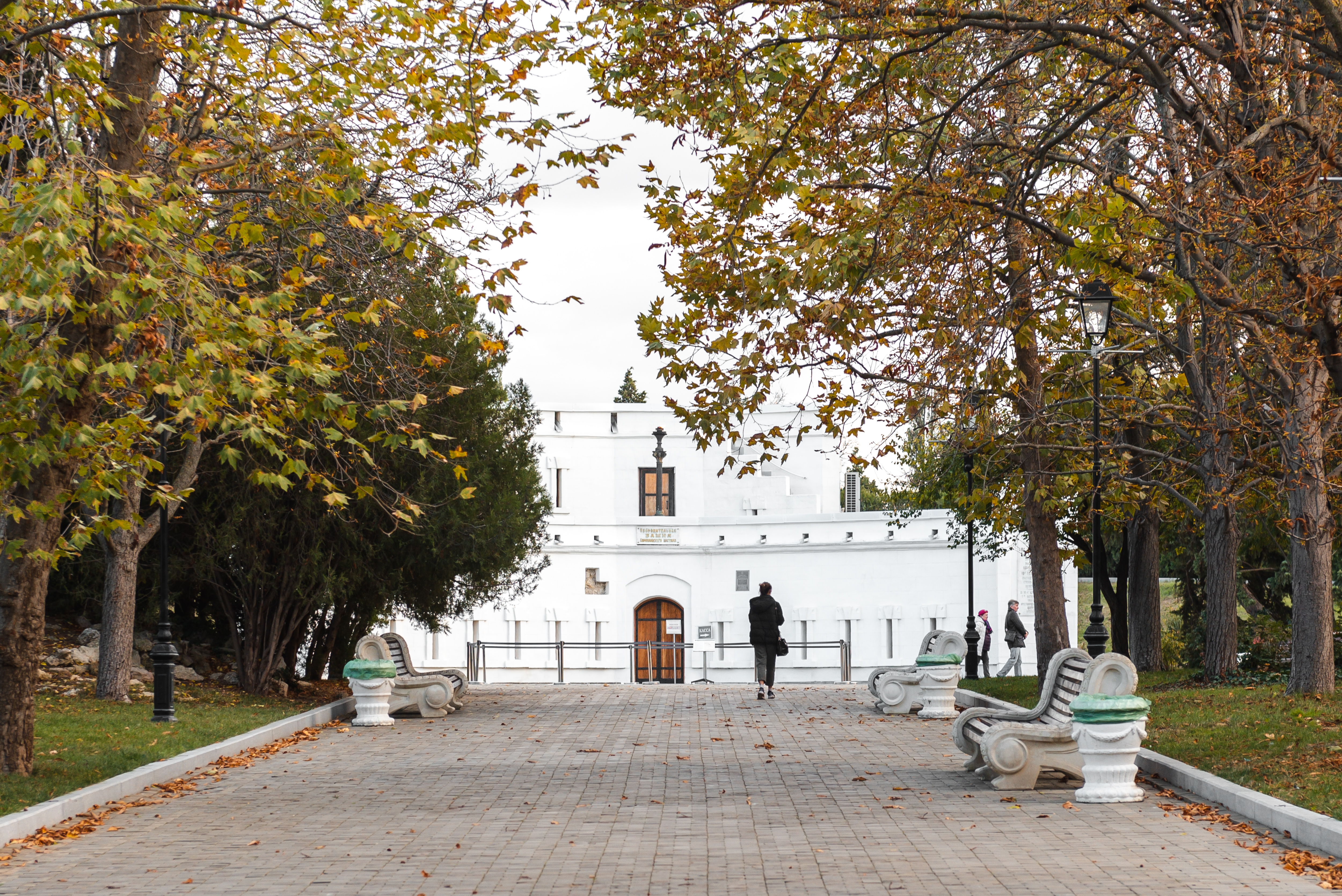 Декоративное изображение