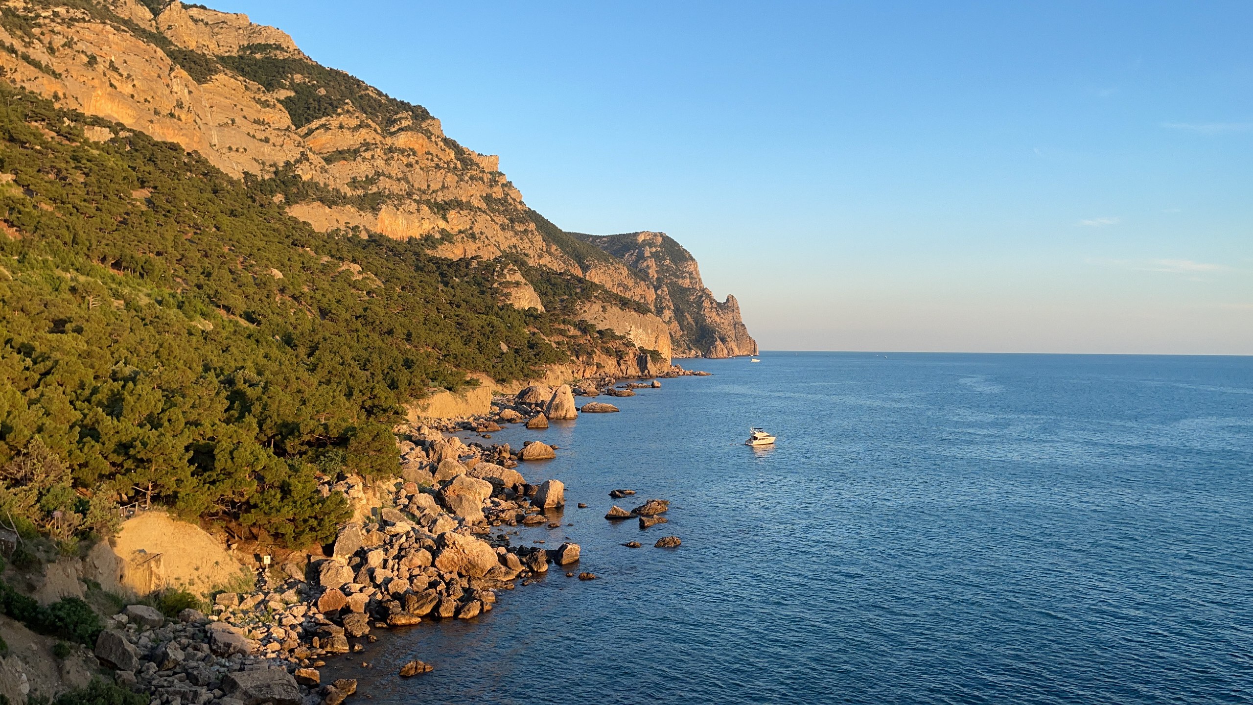 Декоративное изображение