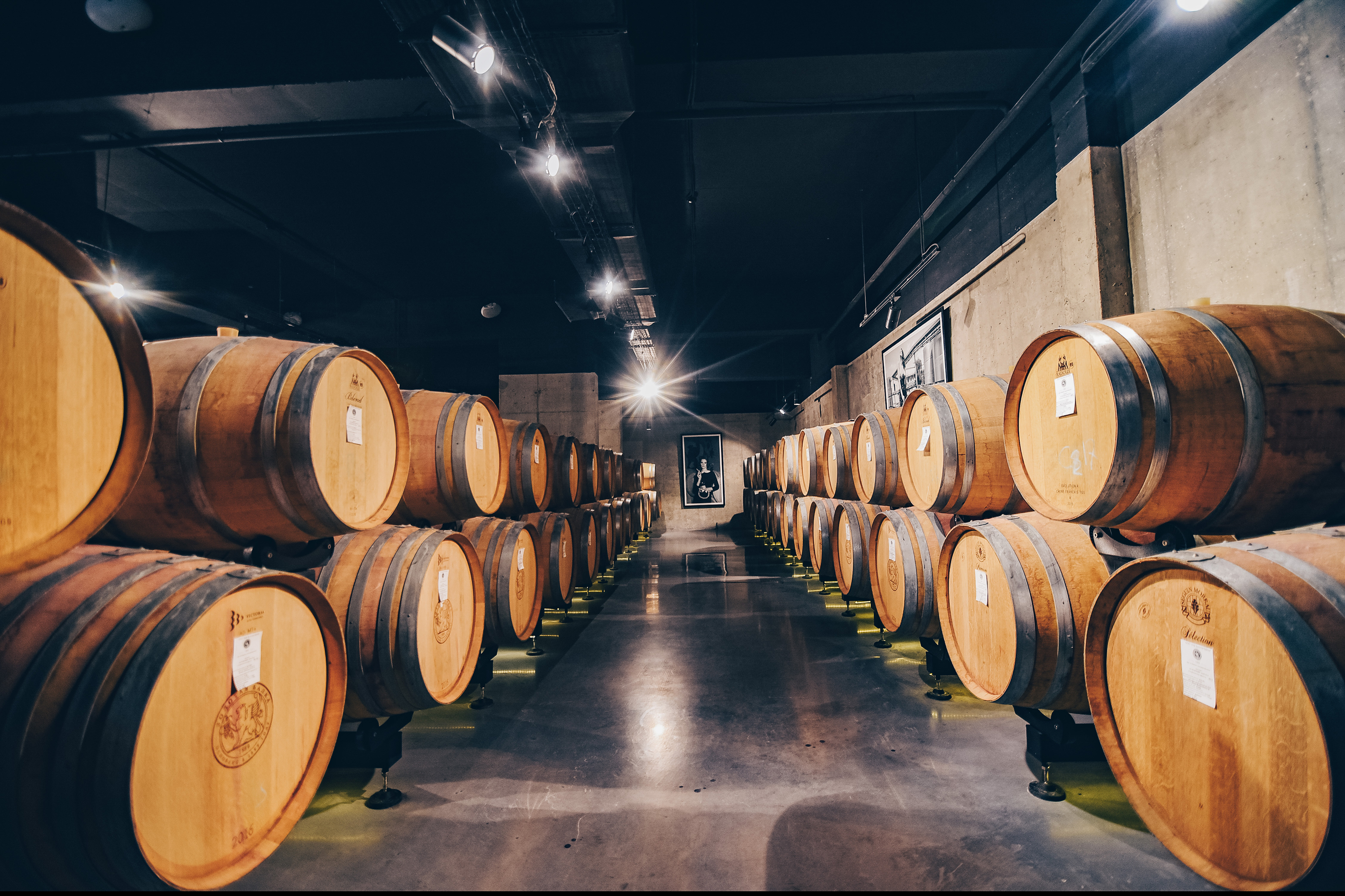 Декоративное изображение