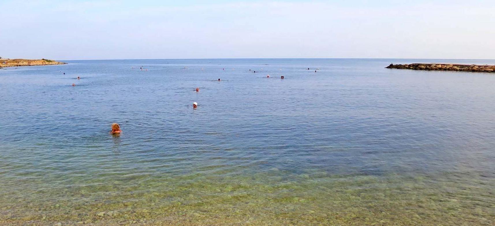 Декоративное изображение