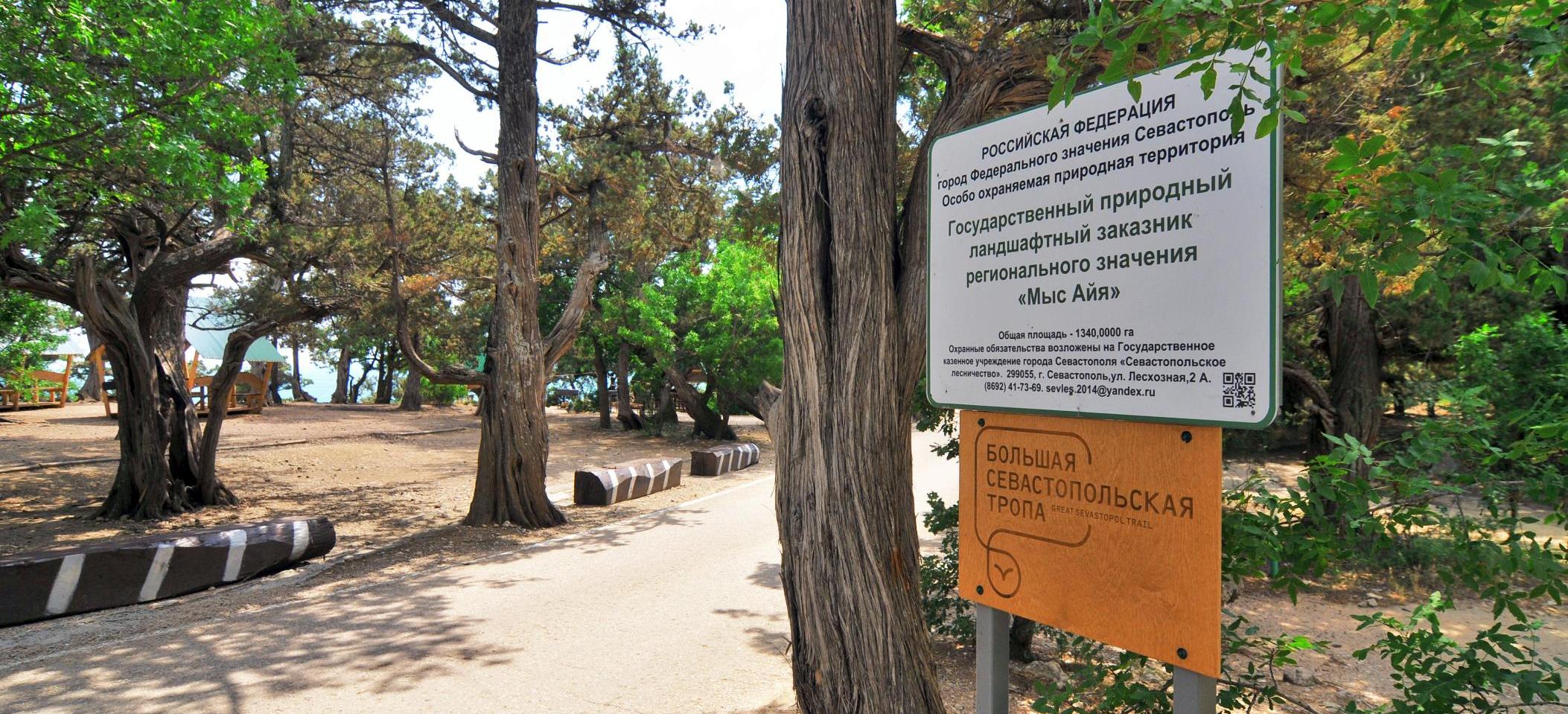 Декоративное изображение