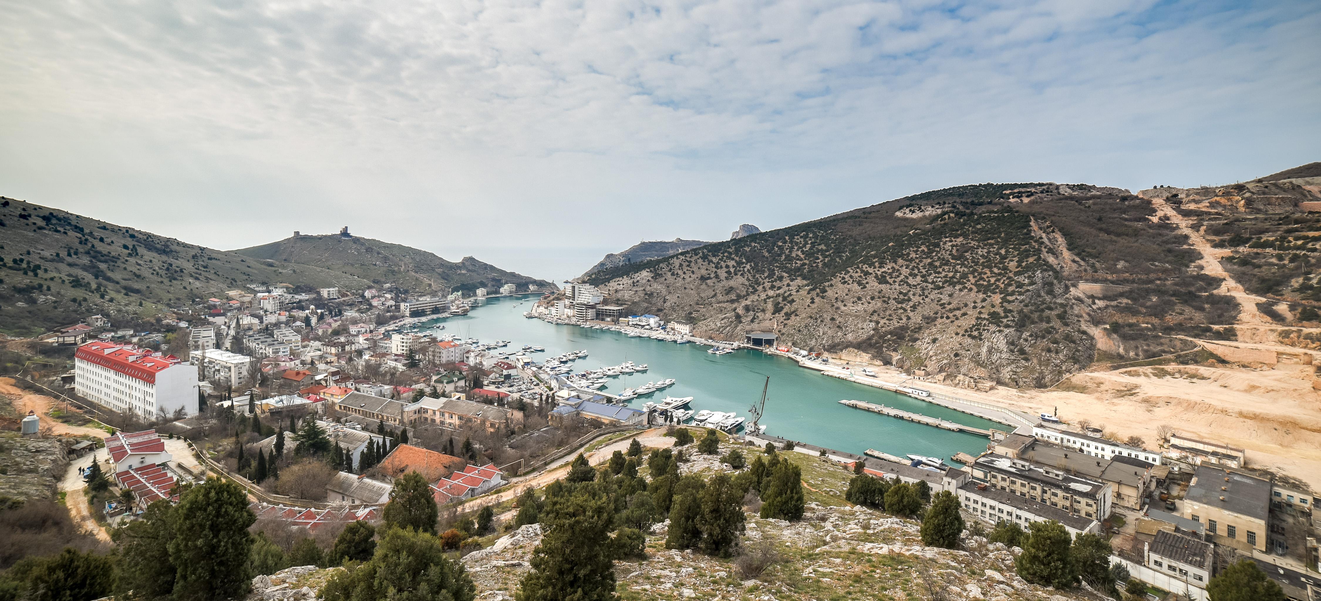 Декоративное изображение