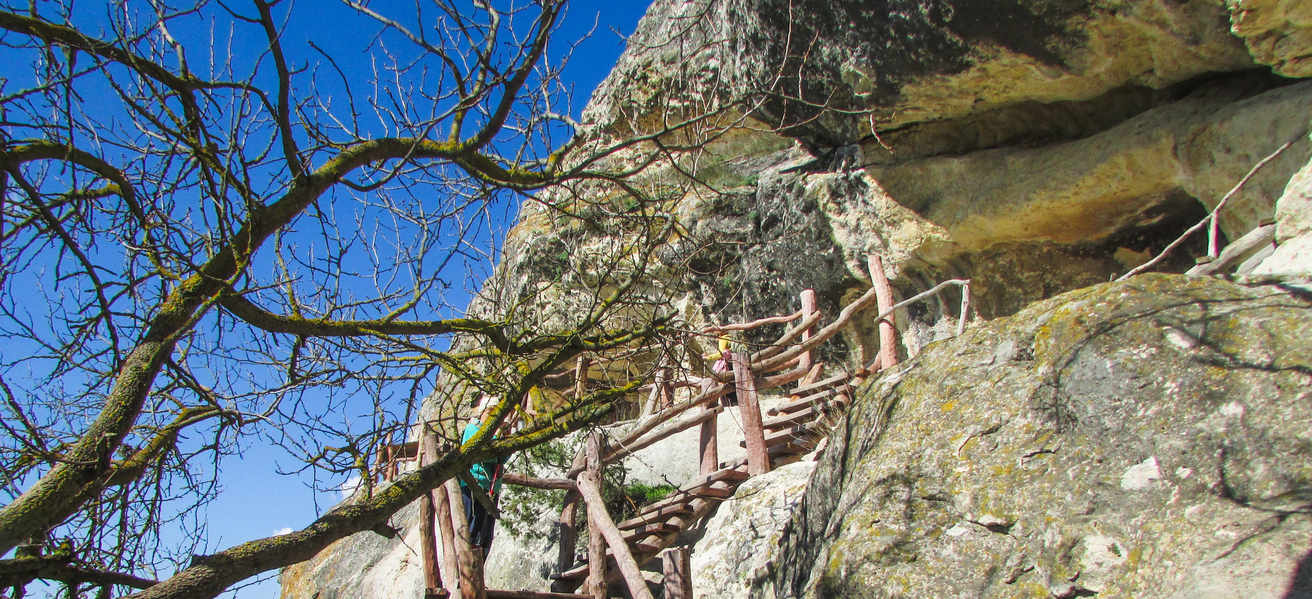 Декоративное изображение