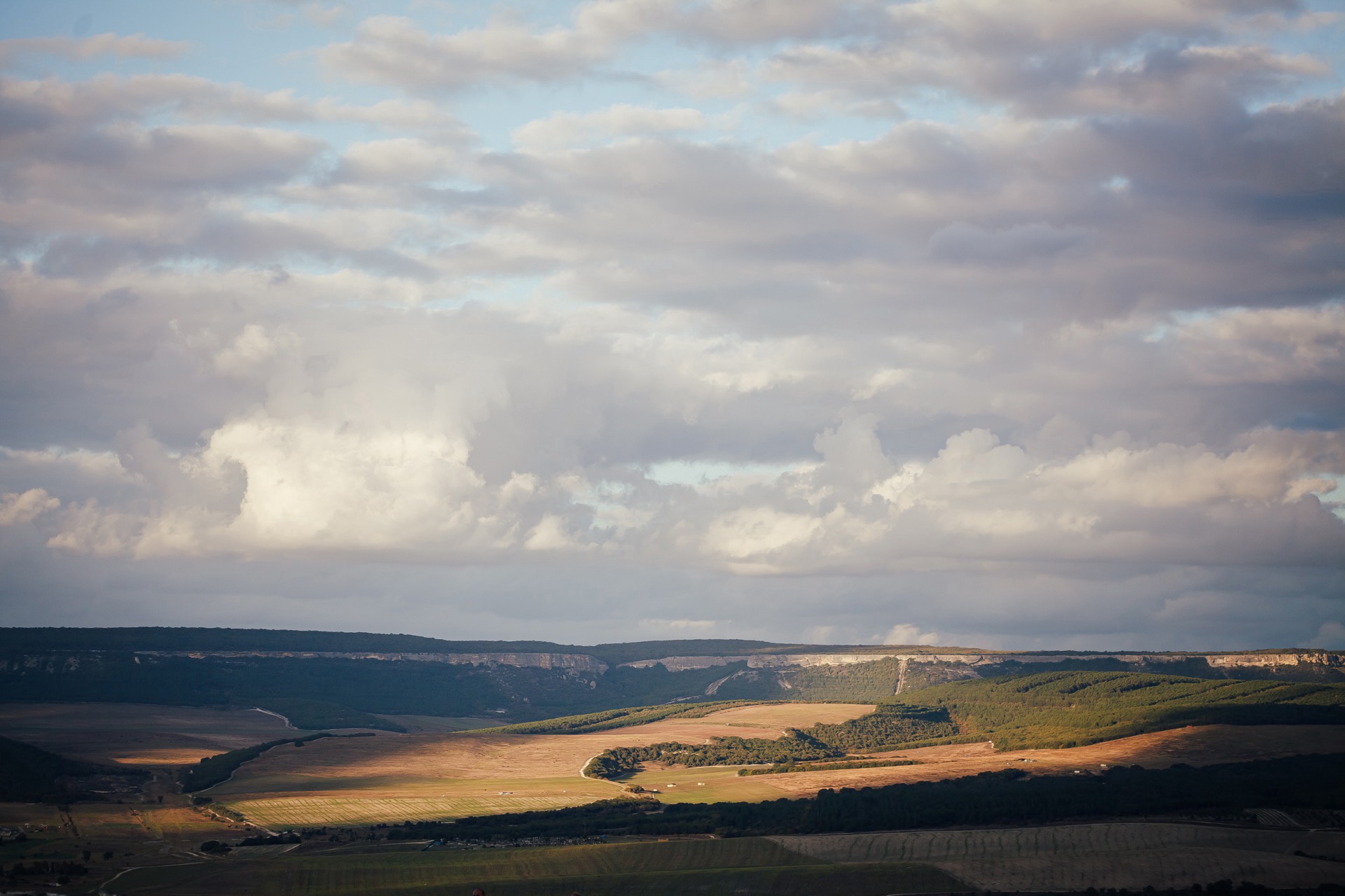 Декоративное изображение