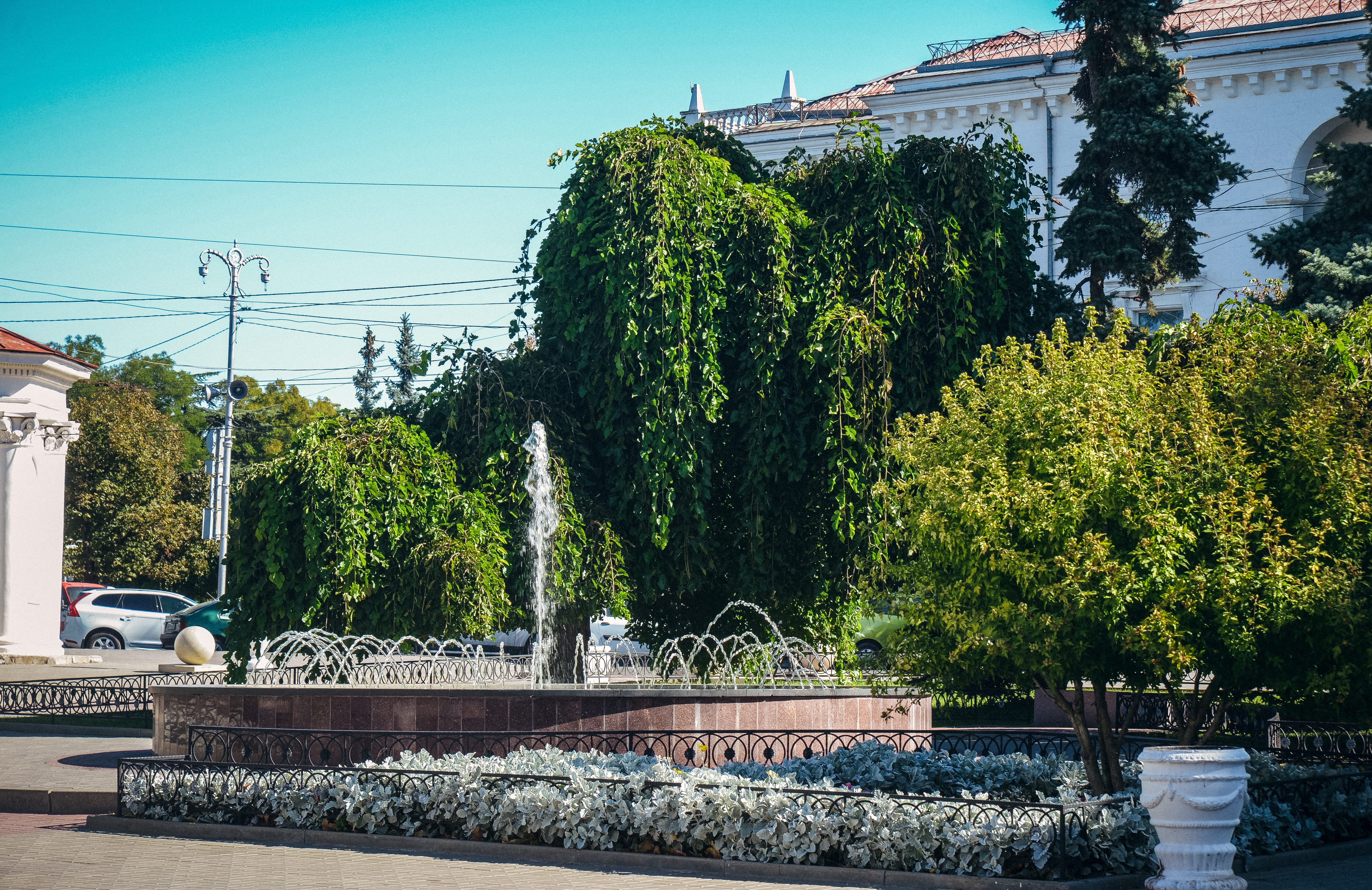 Декоративное изображение