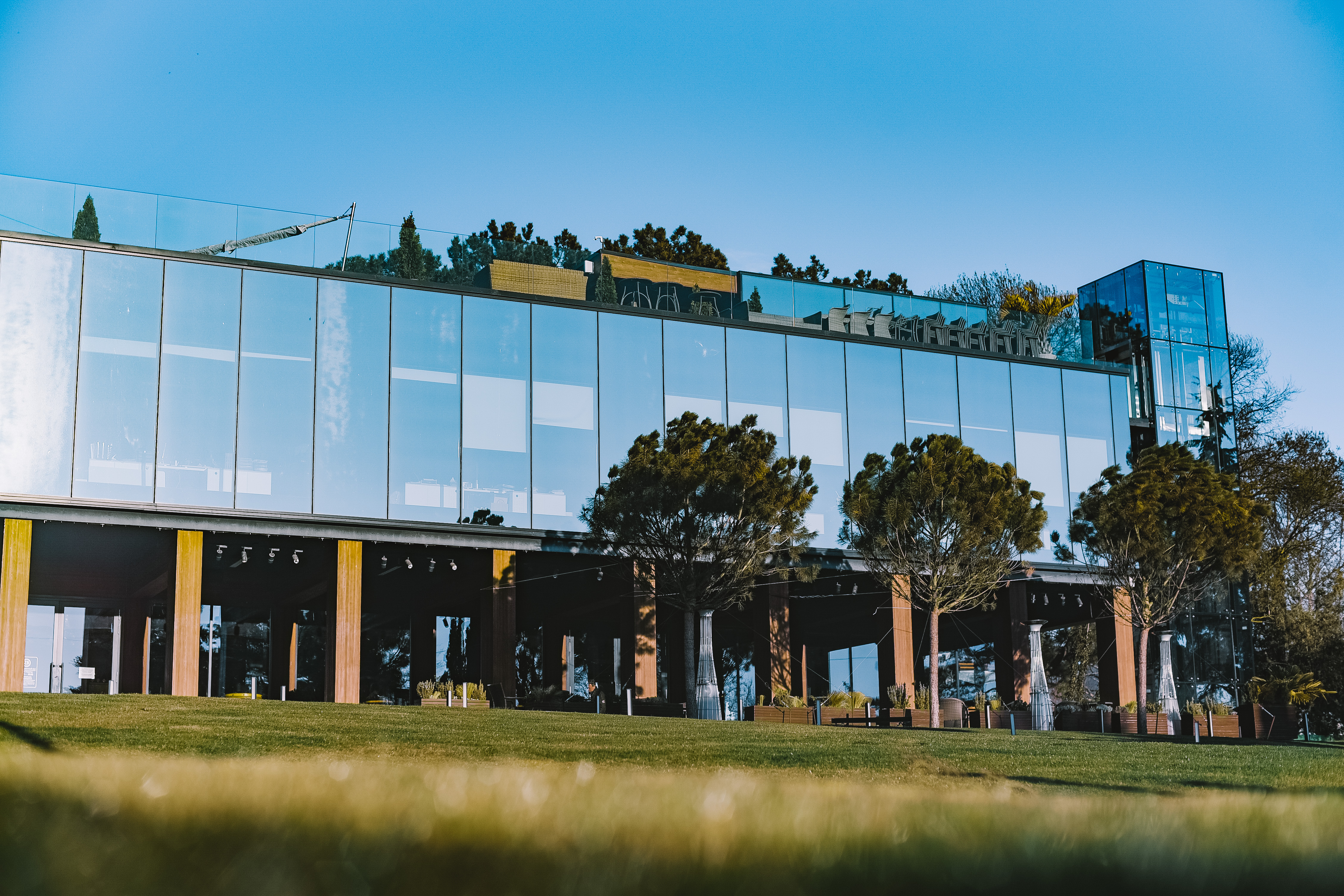 Декоративное изображение