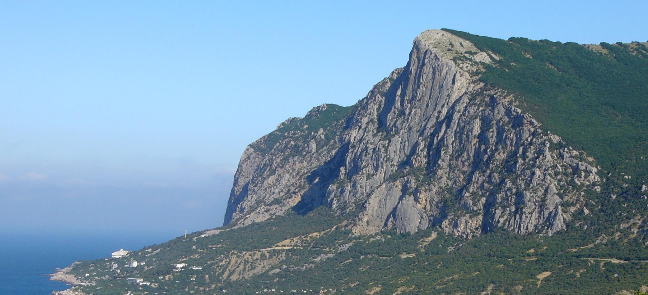 Декоративное изображение