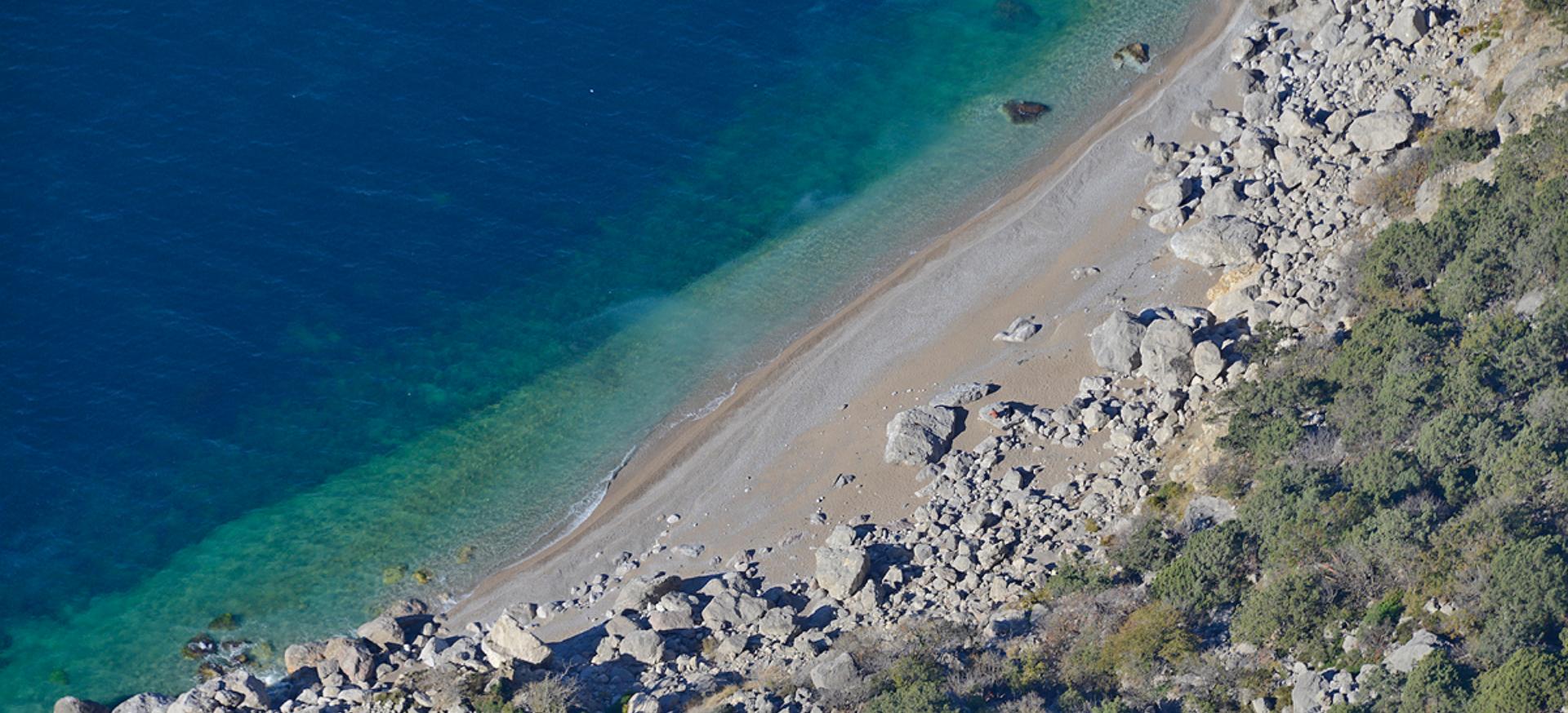 Декоративное изображение