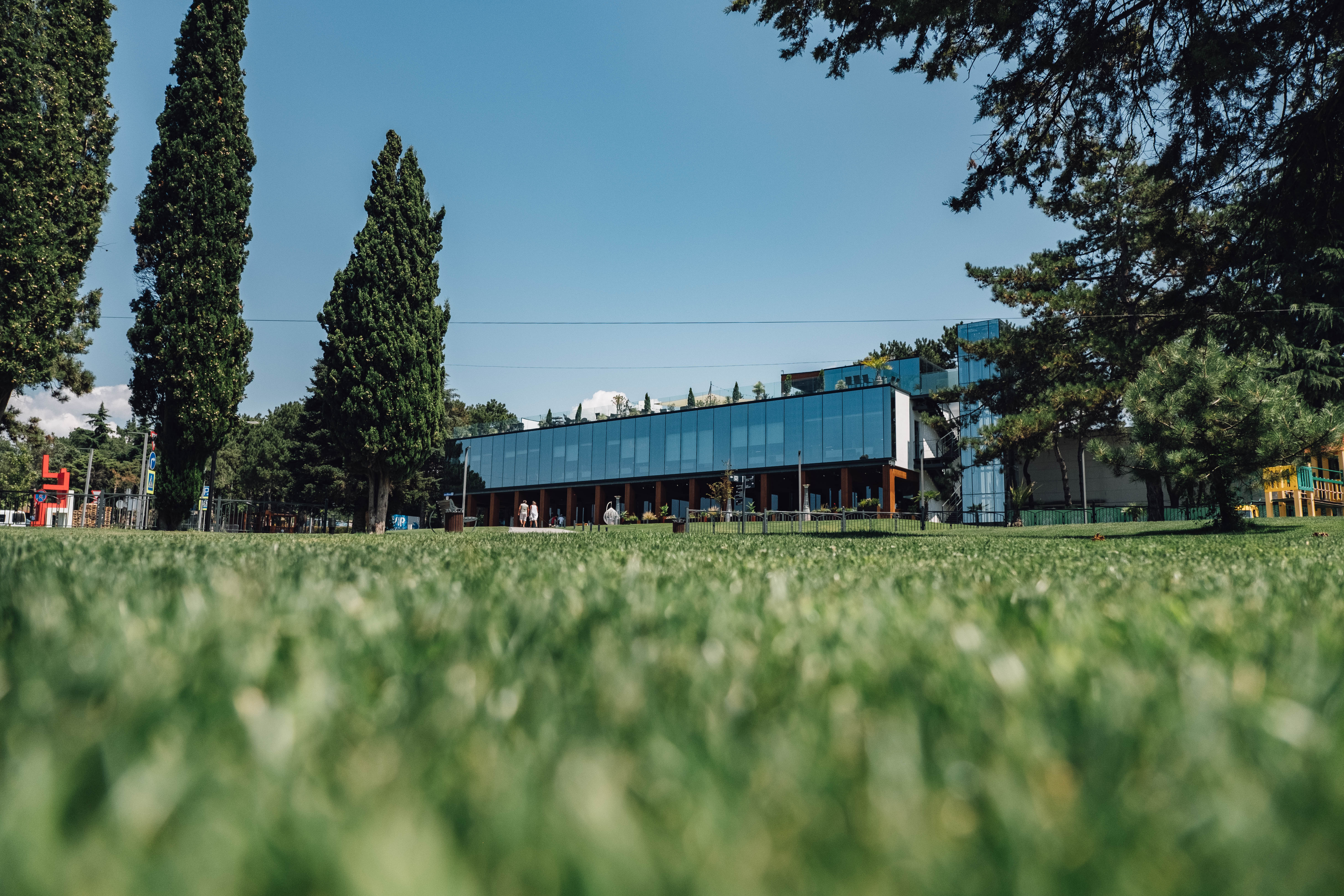 Декоративное изображение