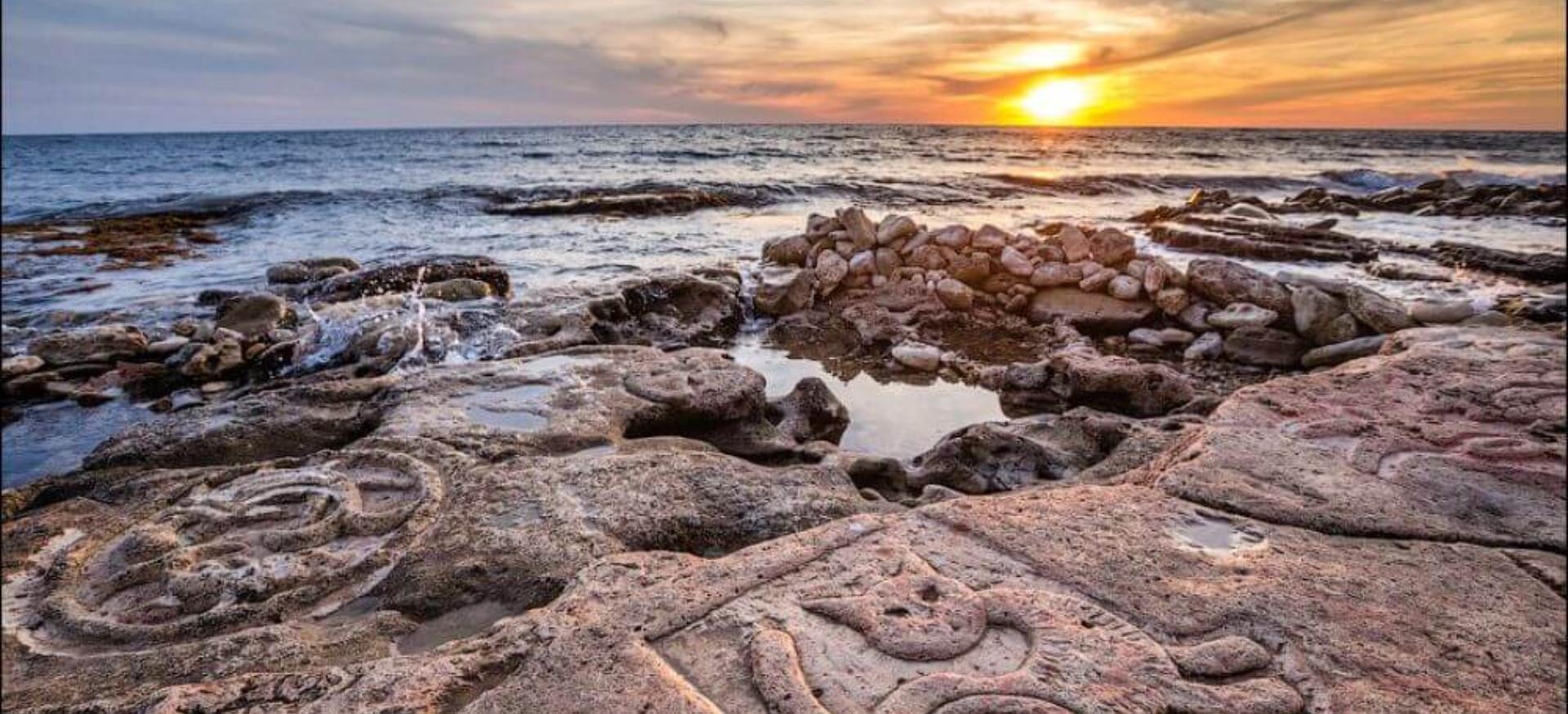 Декоративное изображение