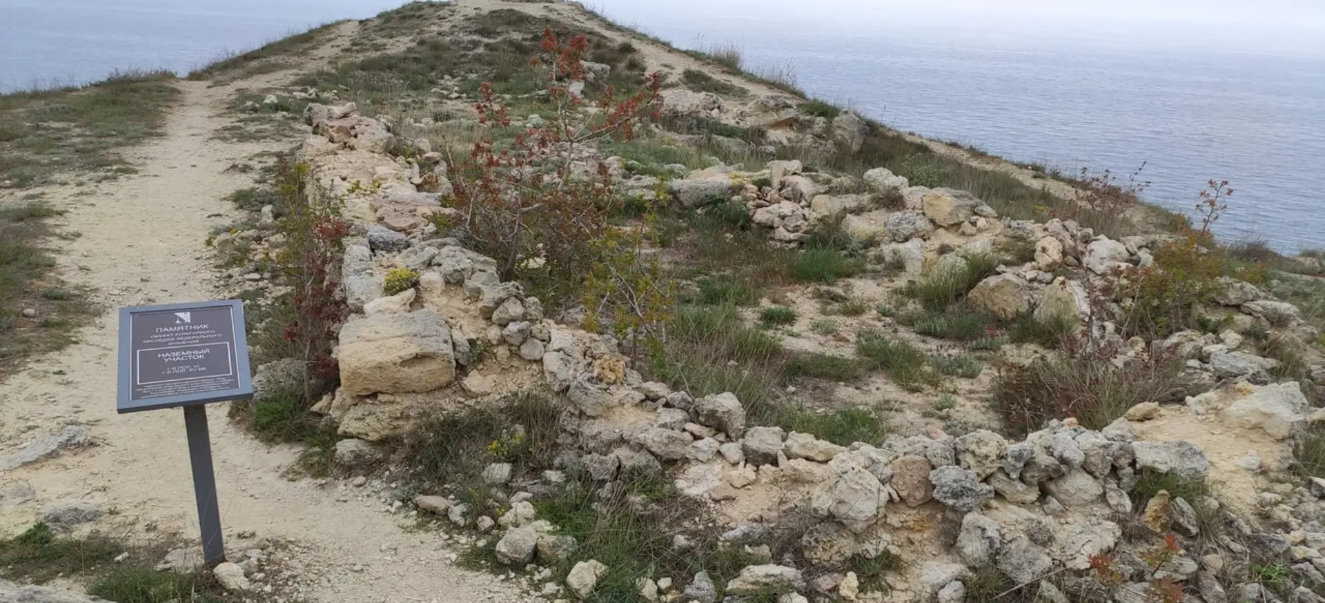 Декоративное изображение